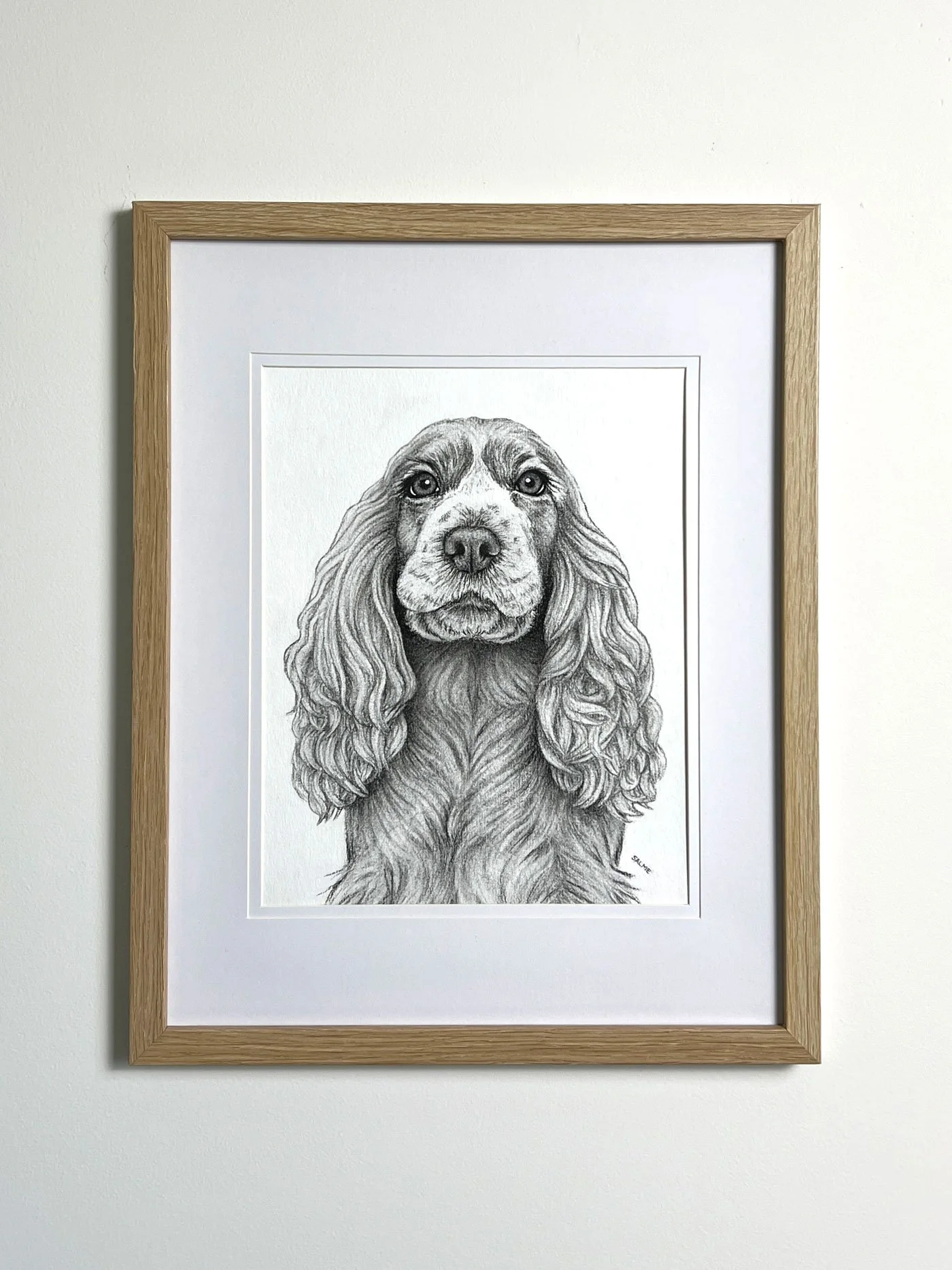 Original charcoal drawing of a cocker spaniel framed on the wall.