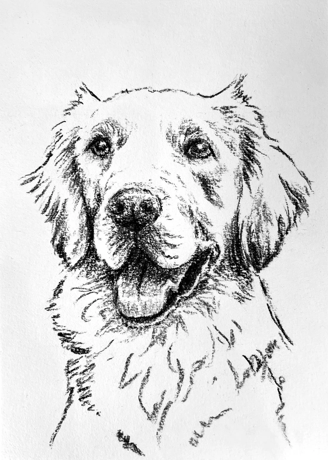 Custom Sketch - unframed