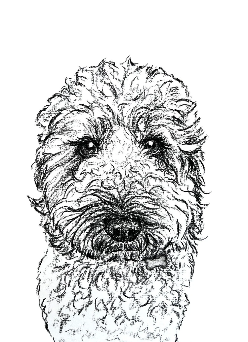 Salme-Pet-Portrait-Sketch-22.jpg
