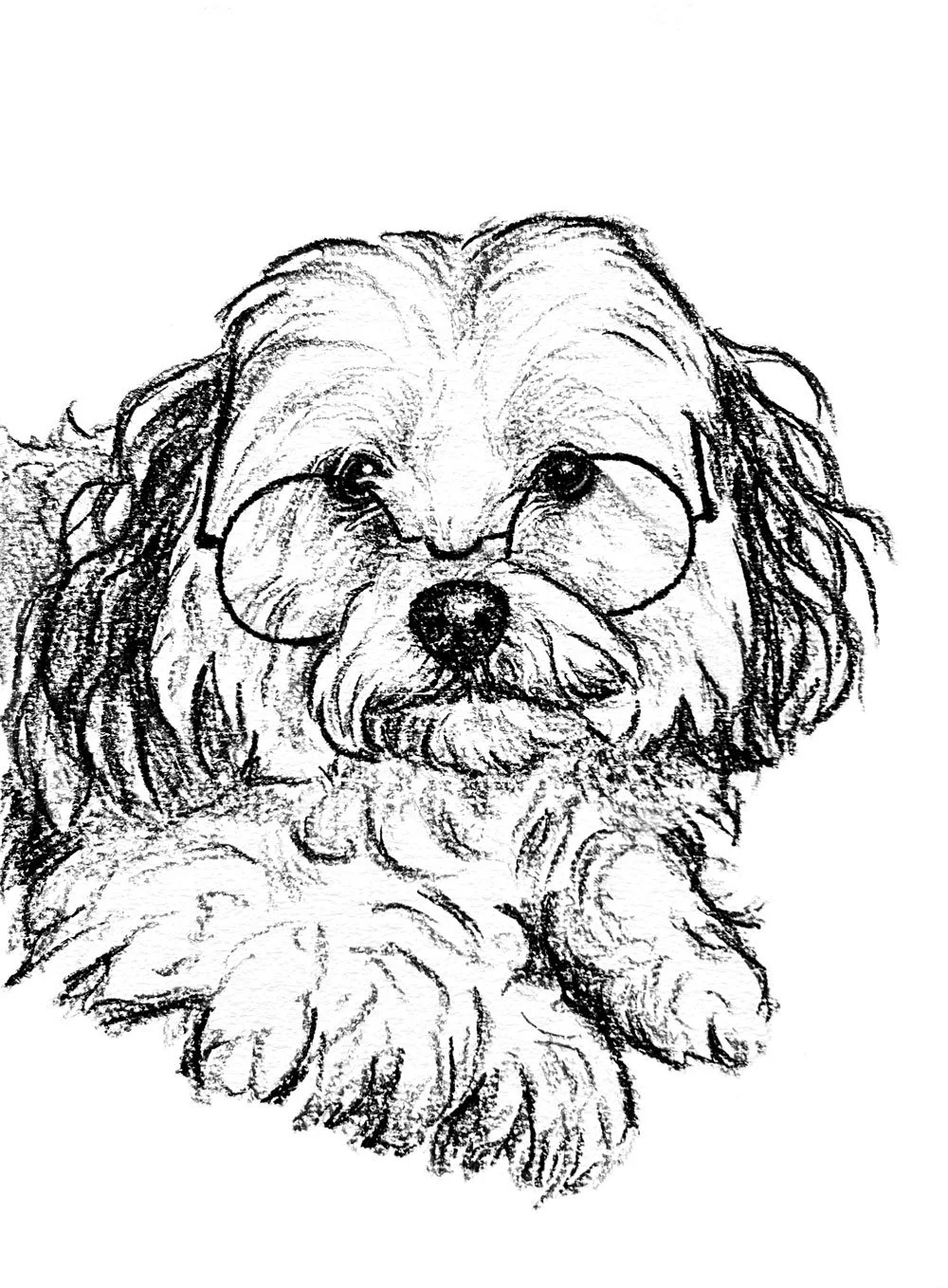 Salme-Pet-Portrait-Sketch-37.jpg