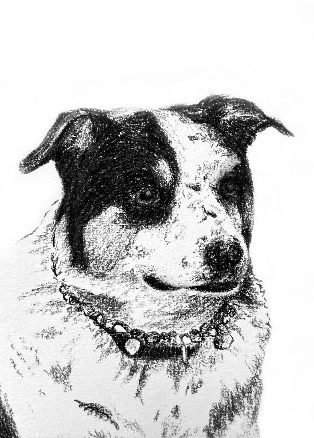 Salme-Pet-Portrait-Sketch-4.jpg