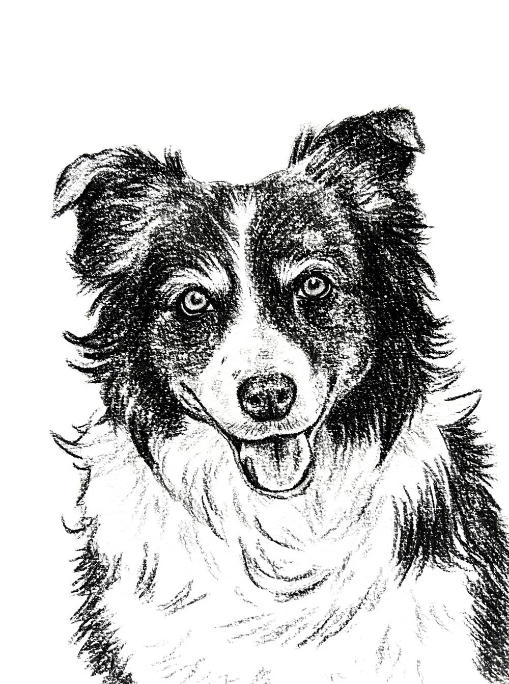 Salme-Pet-Portrait-Sketch-31.jpg