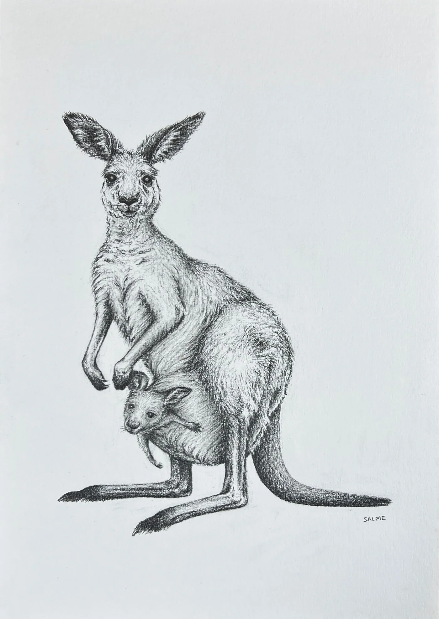 Original graphite drawing of a kangaroo mother and her joey