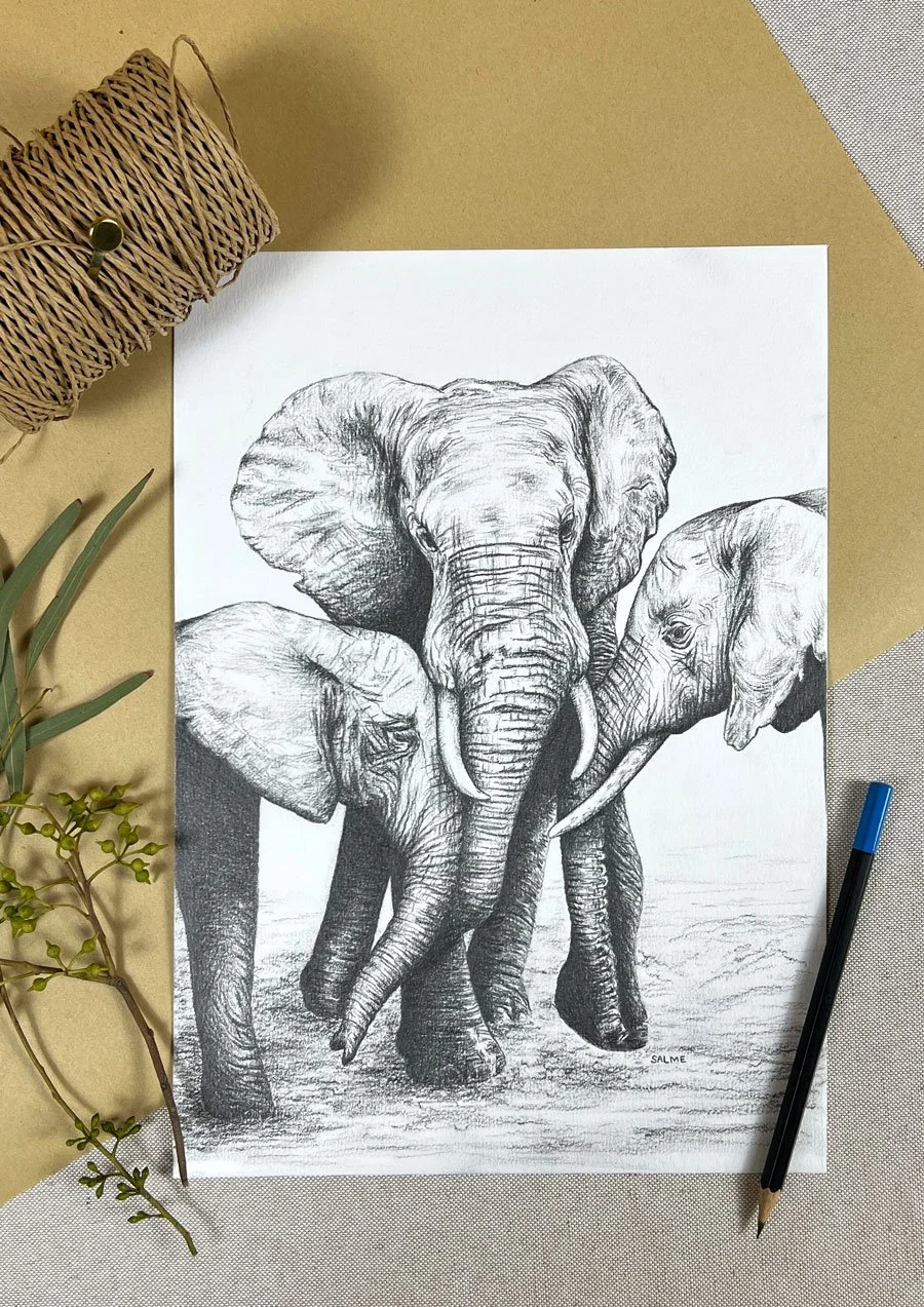 Original graphite drawing of an elephant and her calves amongst gift wrapping decoration