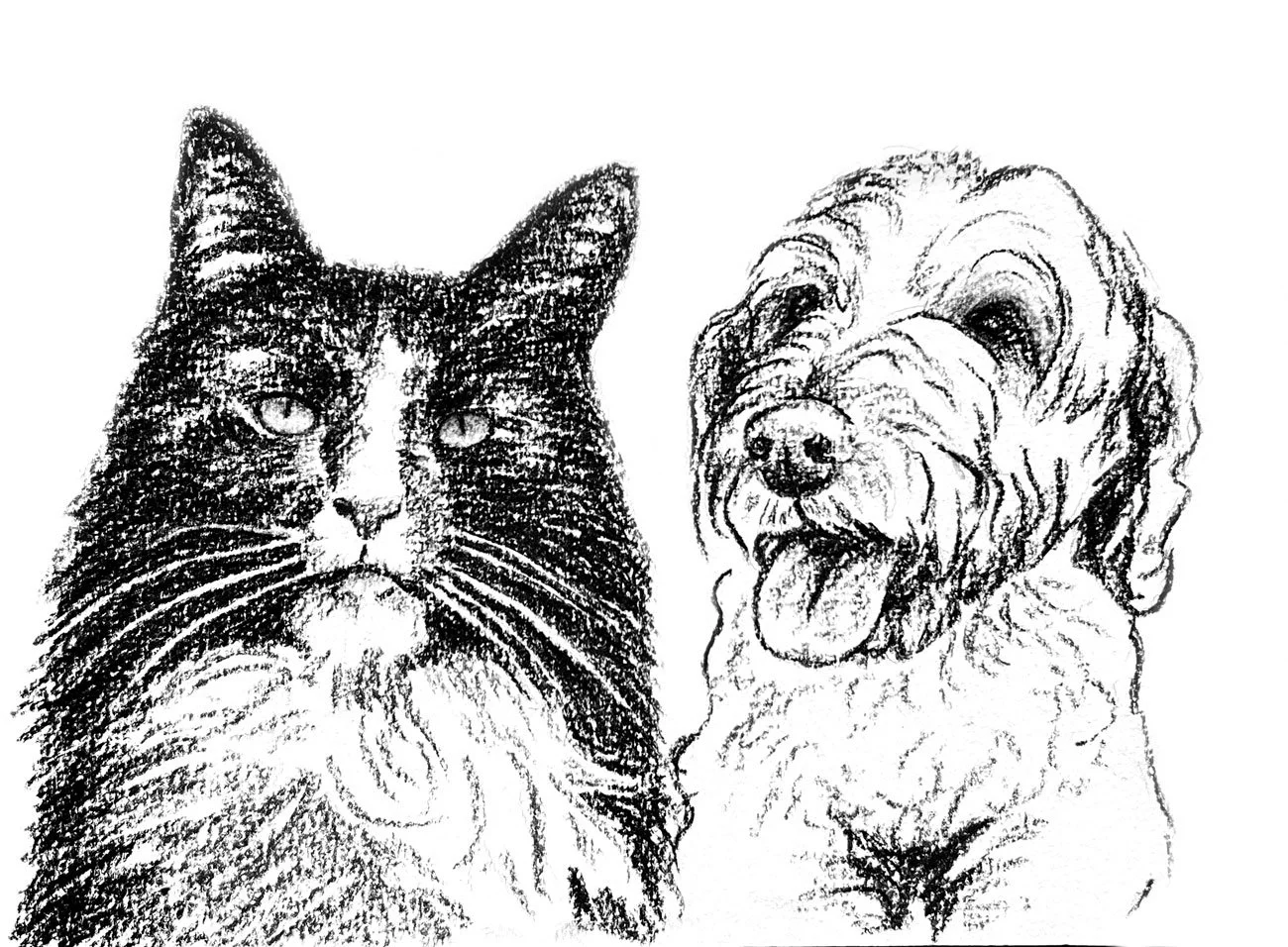 Salme-Pet-Portrait-Sketch-13.jpg