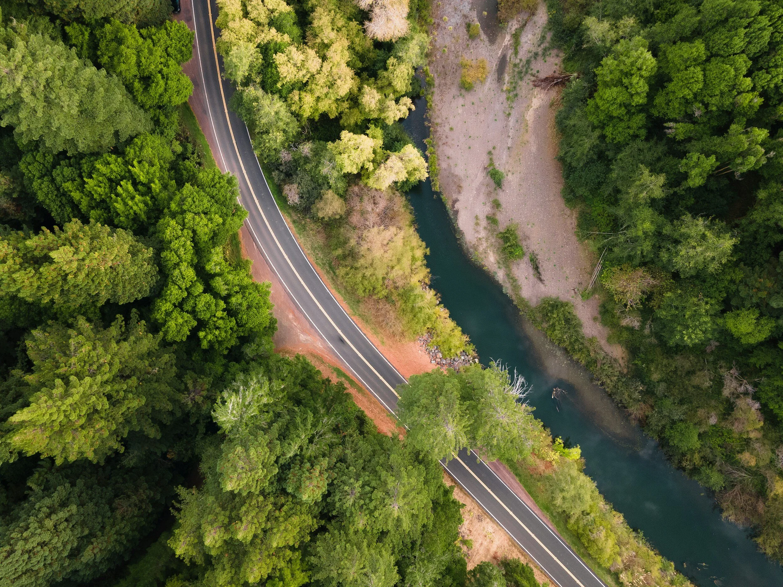An aerial view of a winding road running through a dense green forest next to a narrow river.