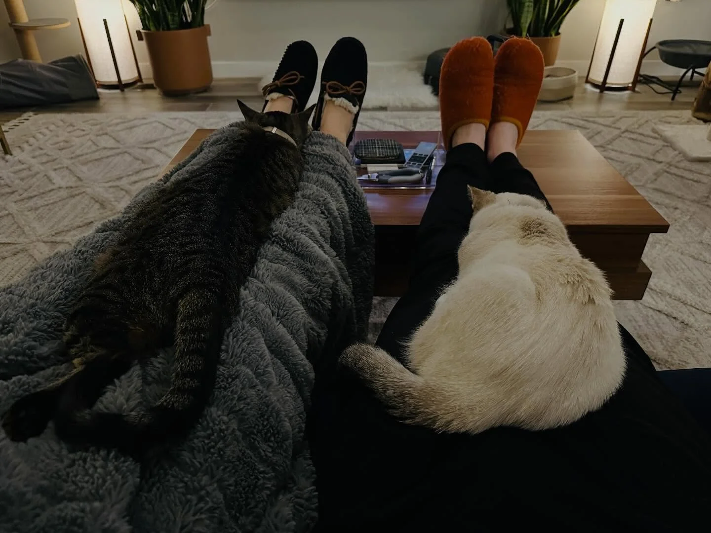 finishing 2025 v strong