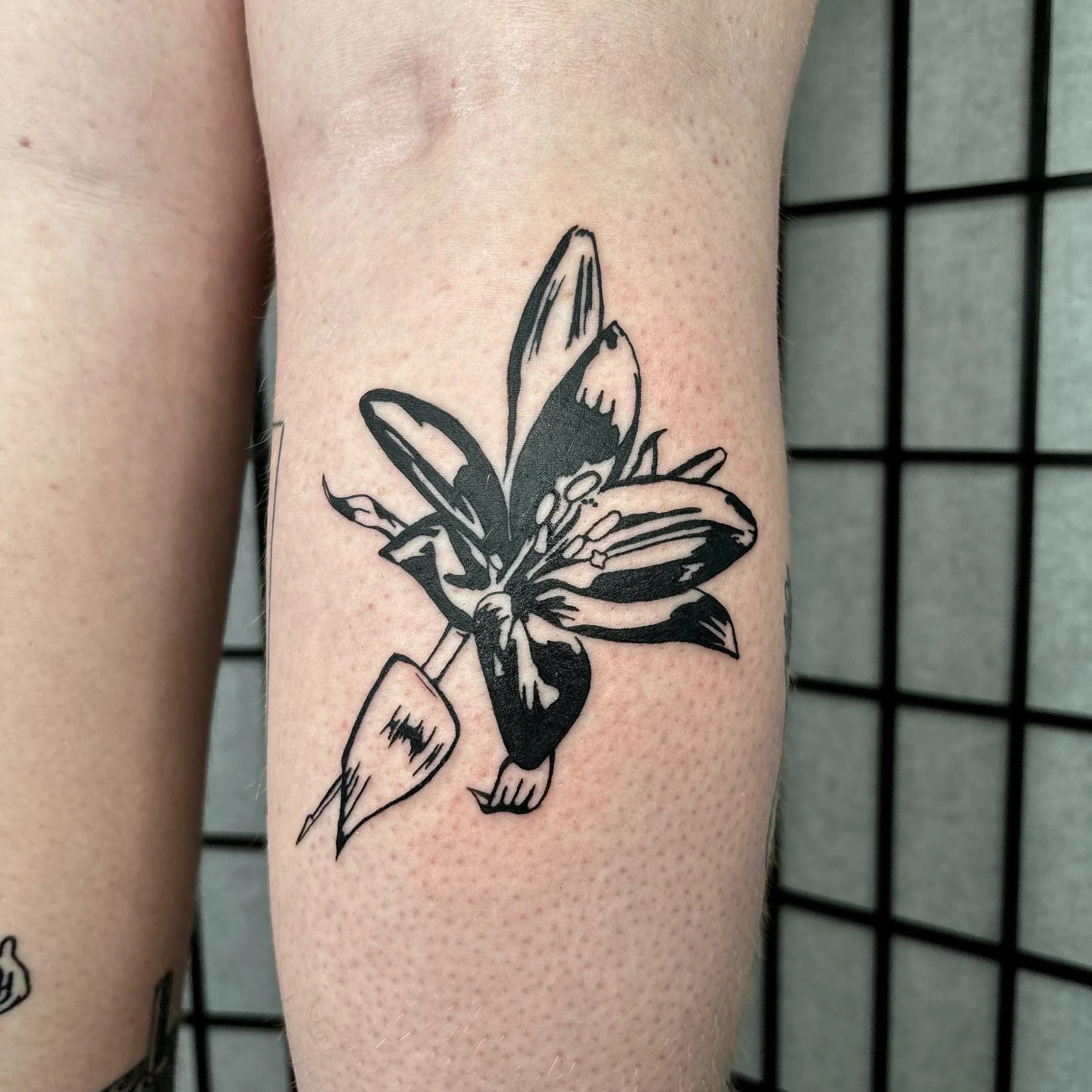 flash for carly. final one done at northern belle tattoo. i am moving into @babybaby.tt and a new apartment in the next 2 weeks and will be pretty quiet until then. i'll hopefully do a flash drop around the first week of june! 

see you all at the ne