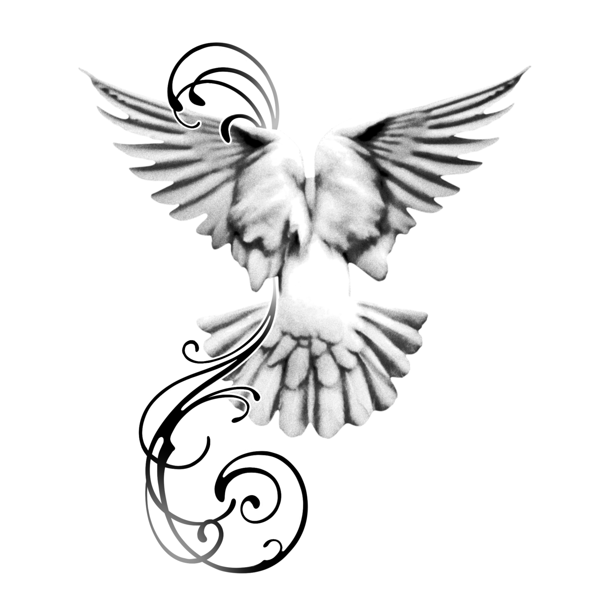 dove
