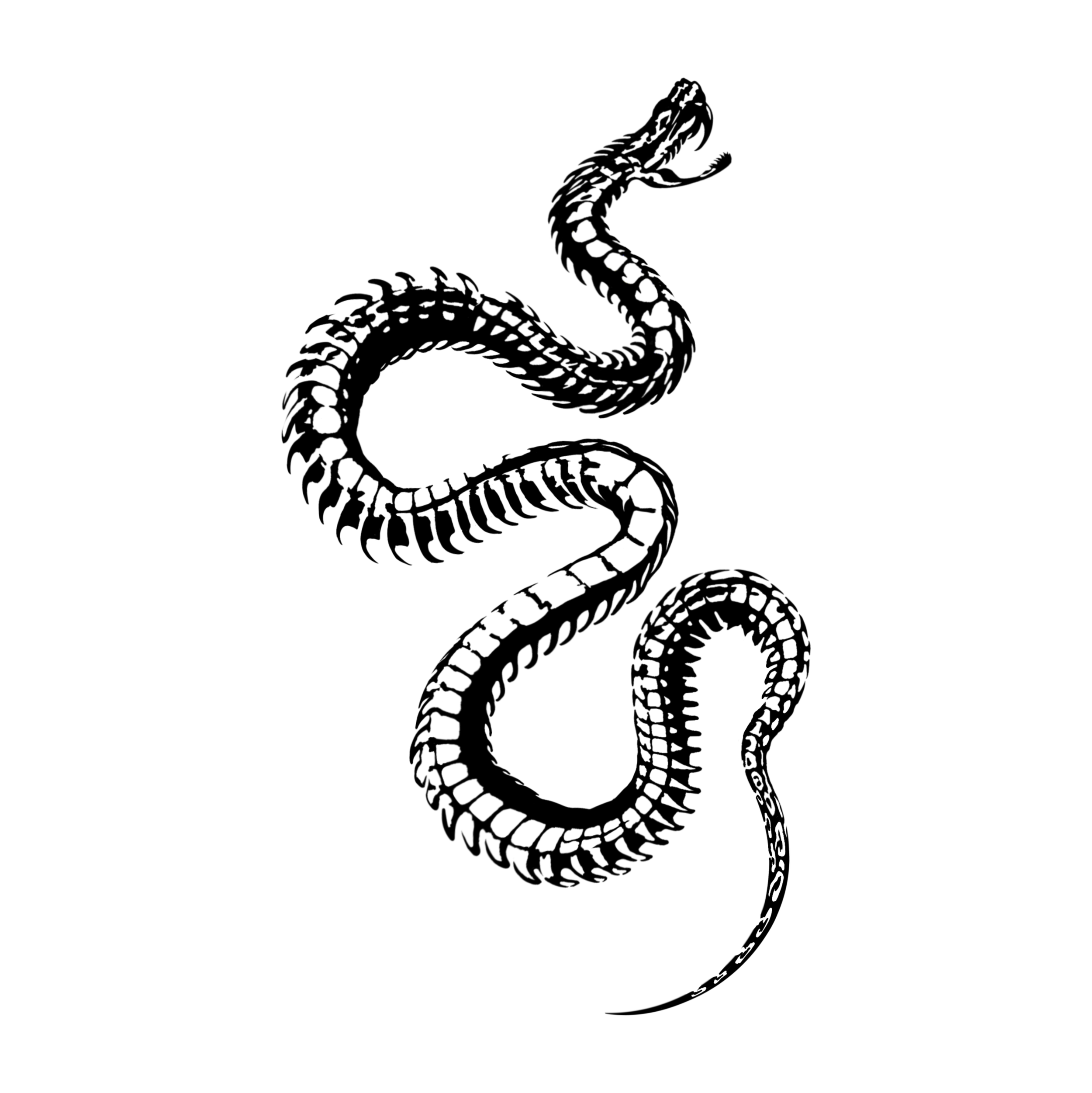 snake