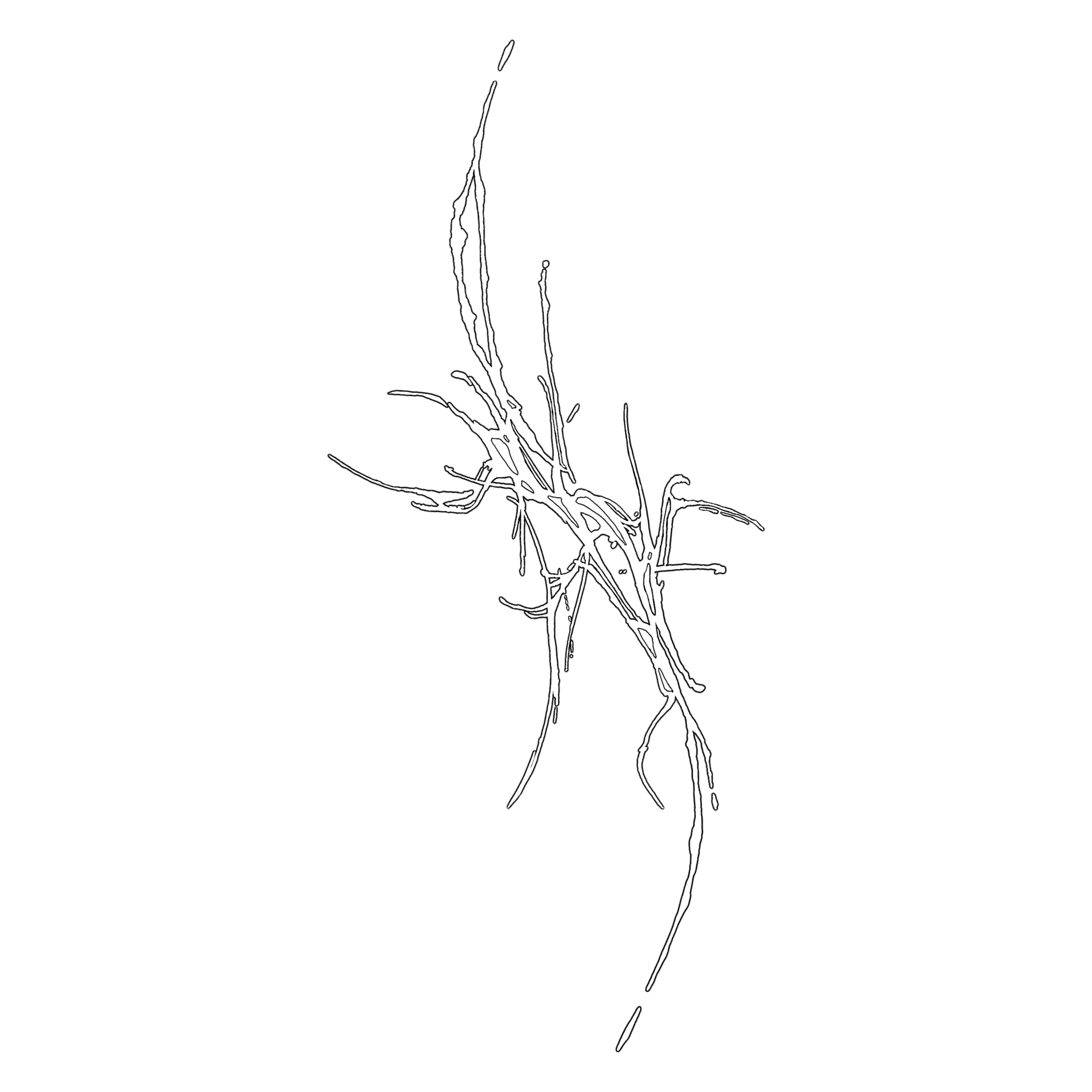 sigil .02