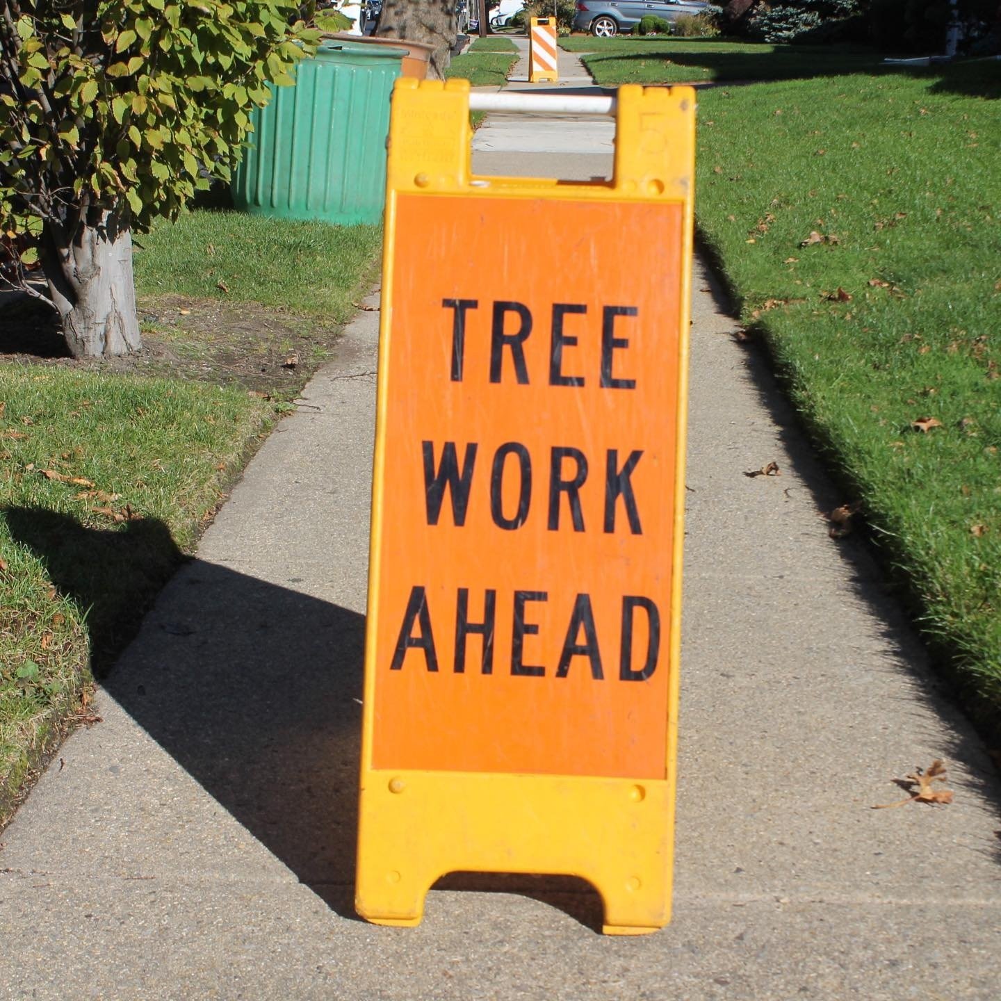 Tree Work Ahead sign on a sidewalk.
