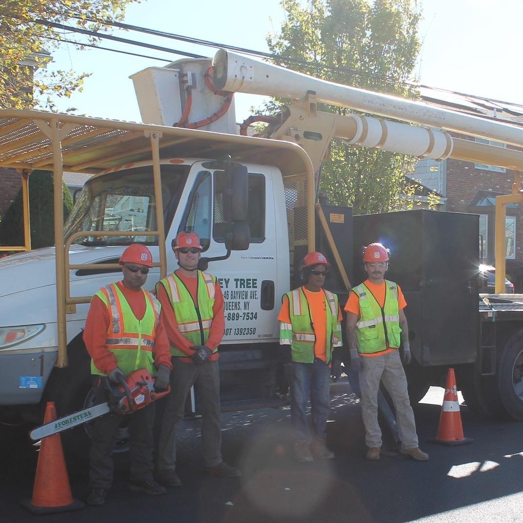 Valley Tree and Landscape Service Inc team in front of truck.