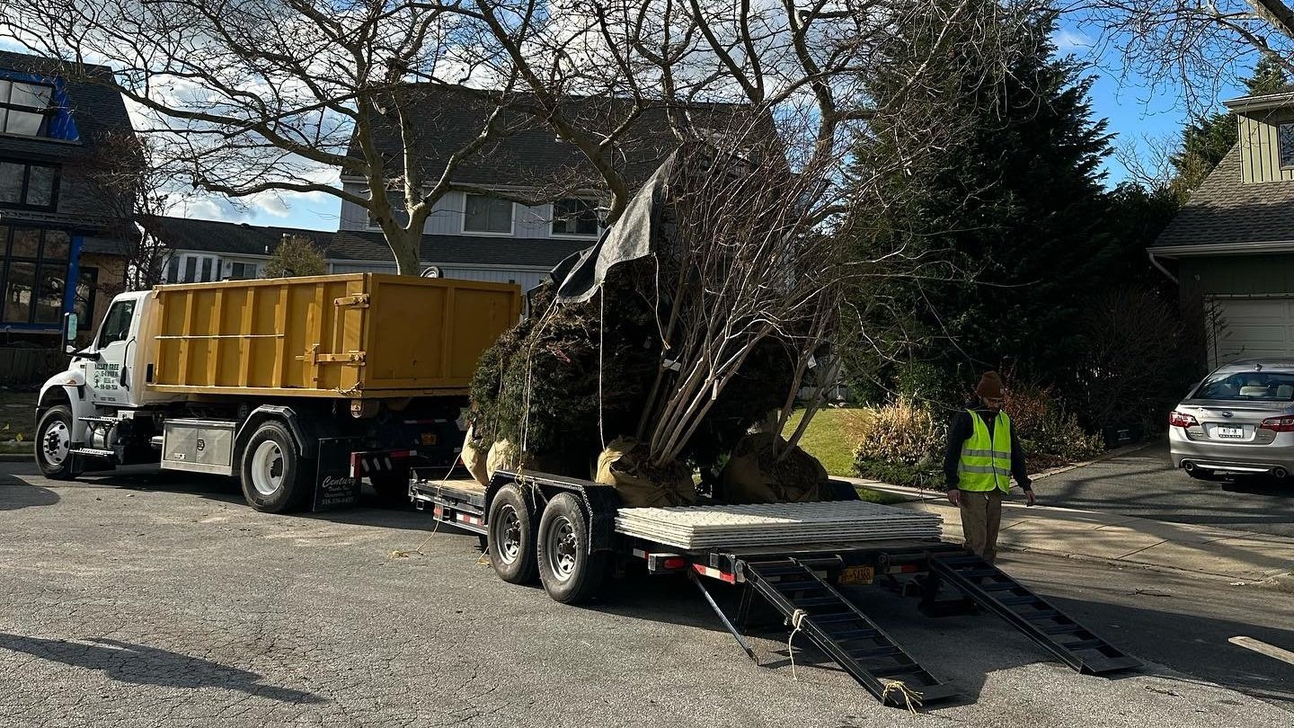 Valley Tree and Landscape Service Inc truck with trees ready to plant on the back of the truck.