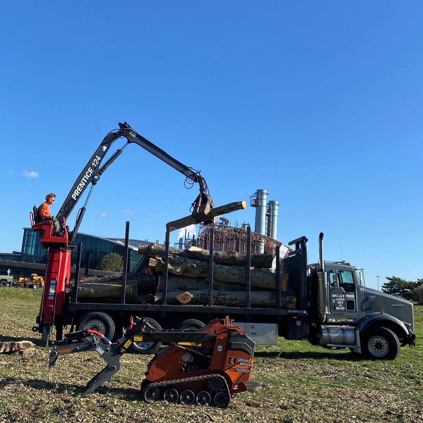 Valley Tree and Landscape Service Inc truck operator loading logs into a truck from a tree removal.