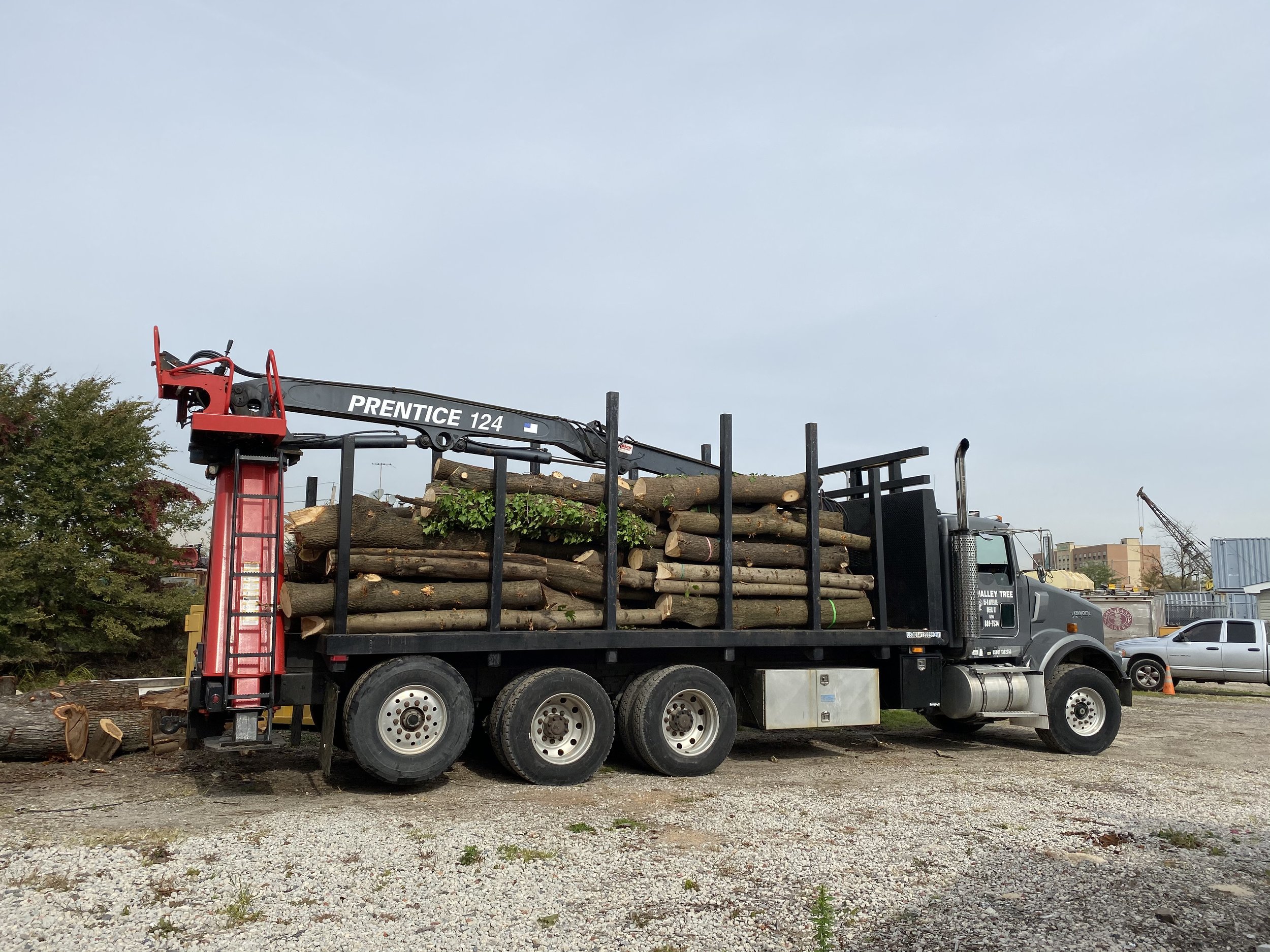 Valley Tree and Landscape Service Inc pickup truck full of logs from a tree removal