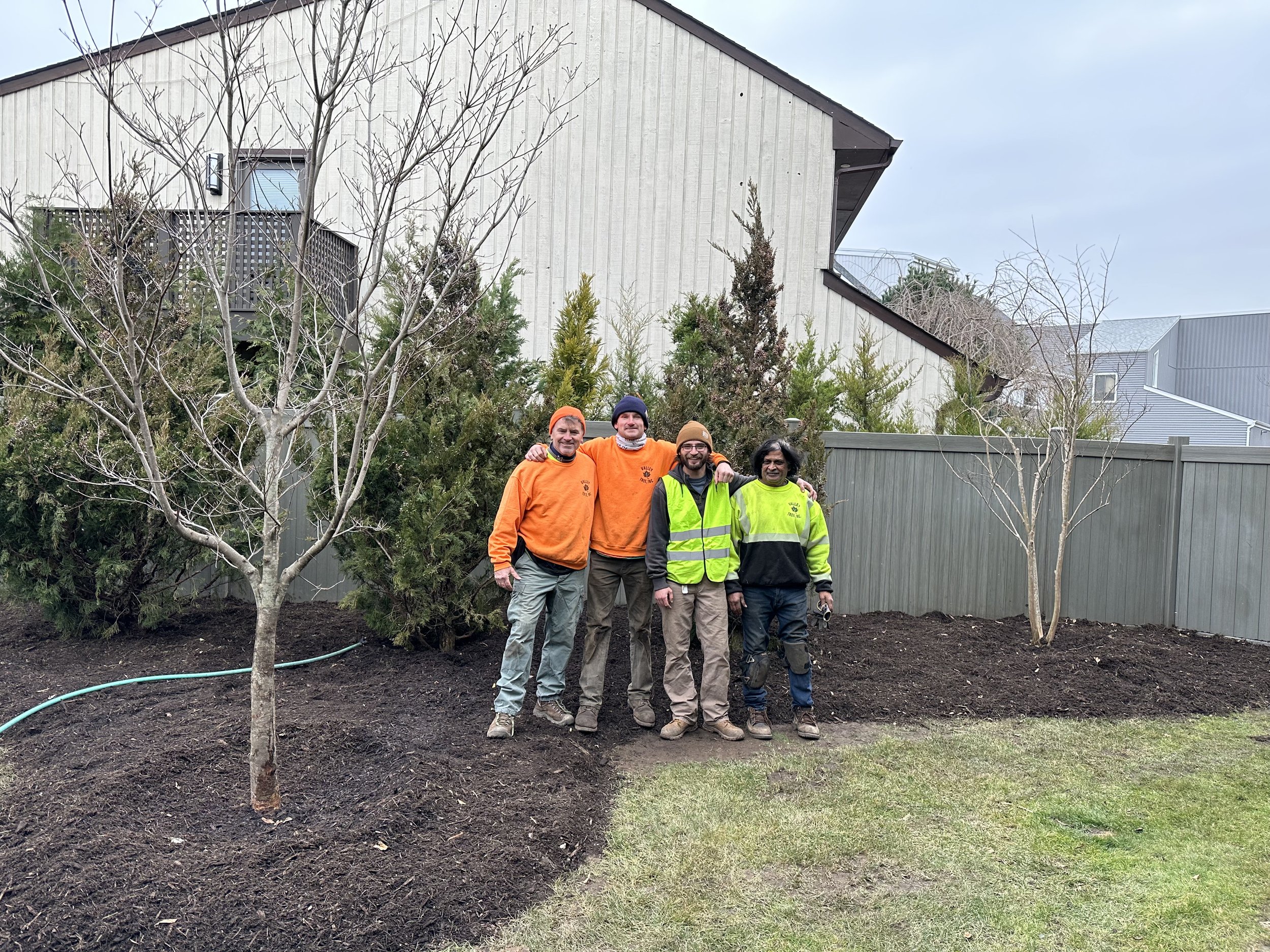 Valley Tree and Landscape Service Inc team with tree planting and mulching project.
