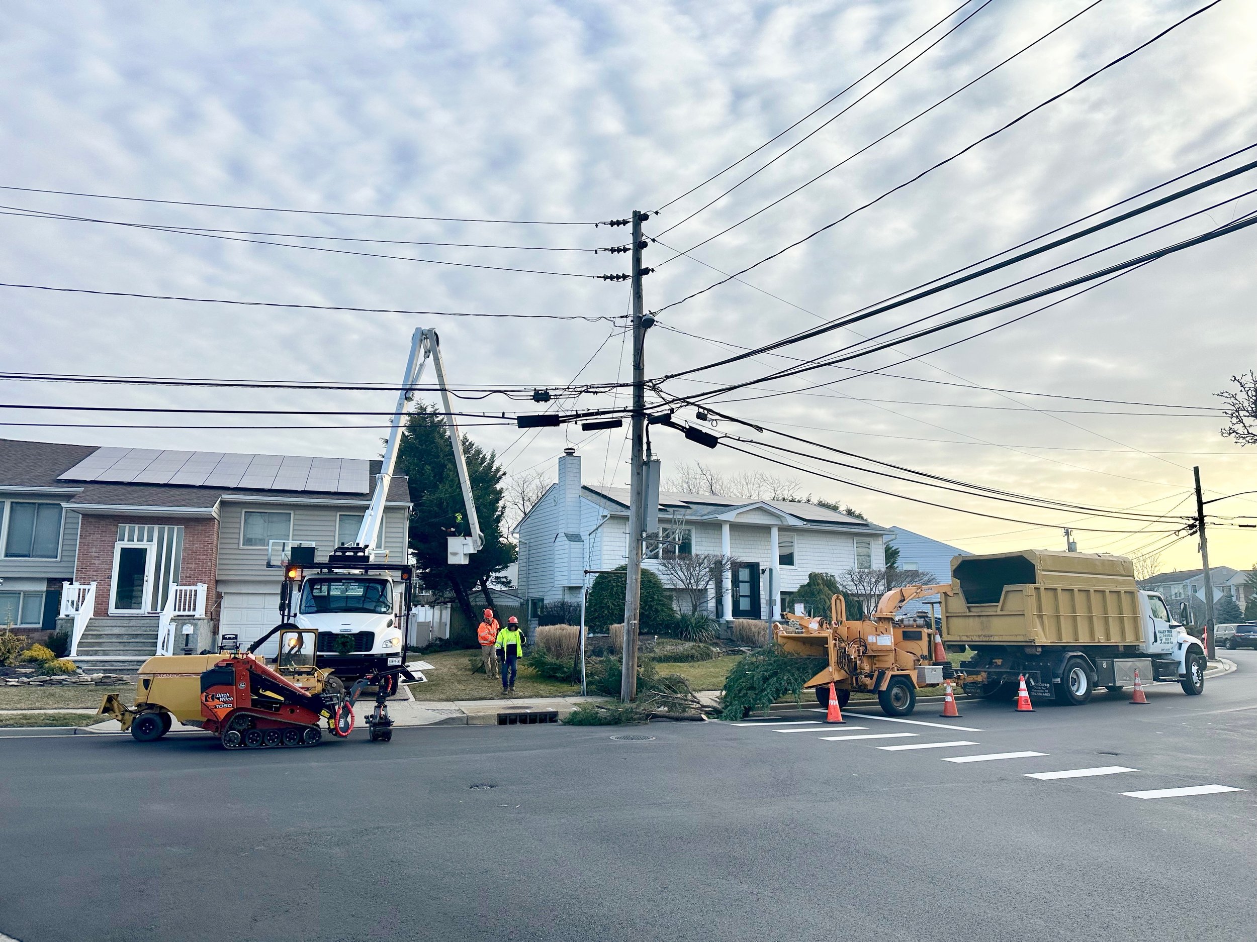 Valley Tree and Landscape Service Inc storm damage tree removal Lido Beach, NY.