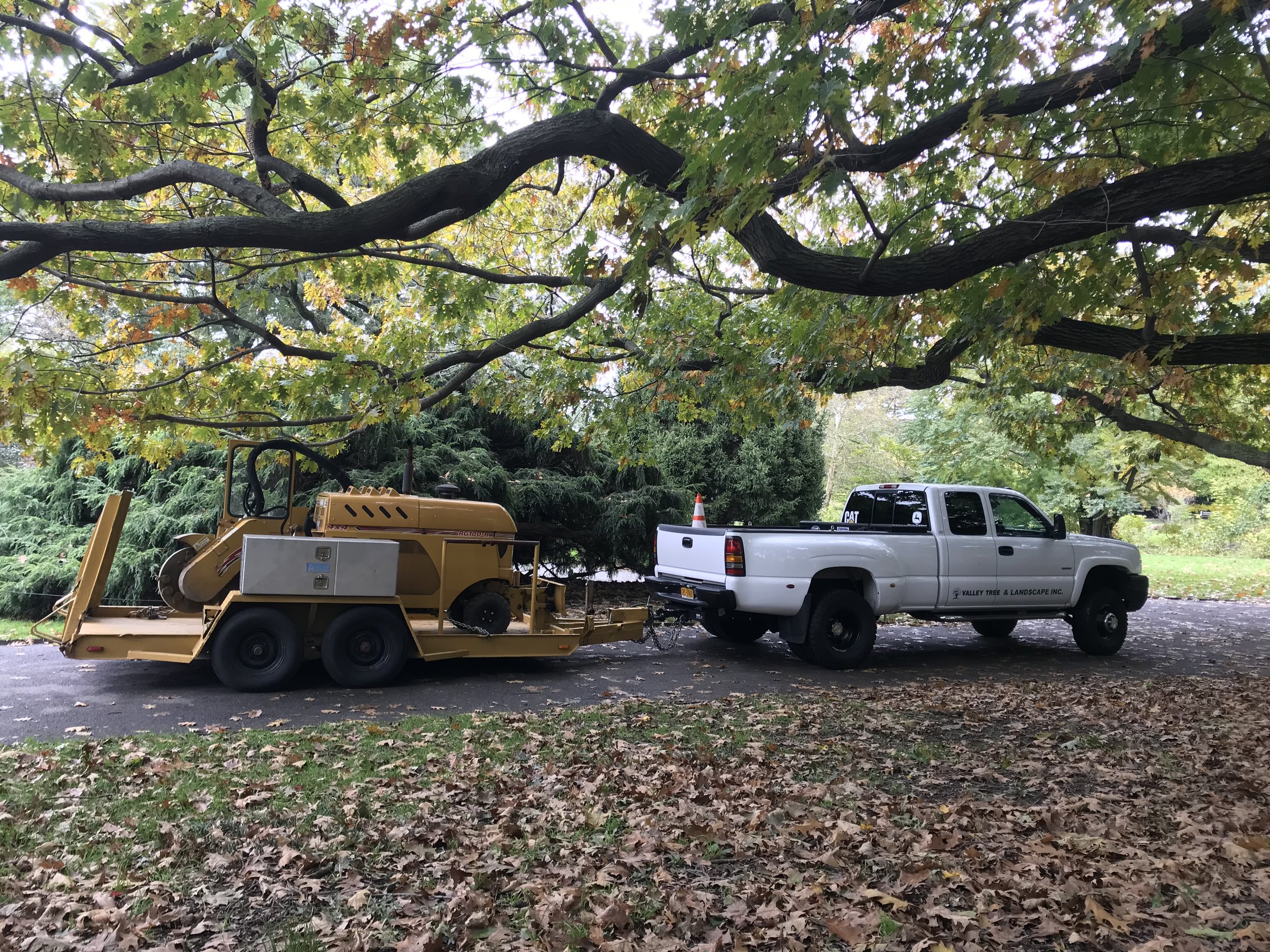 Valley Tree and Landscape Service Inc pickup truck hauling equipment