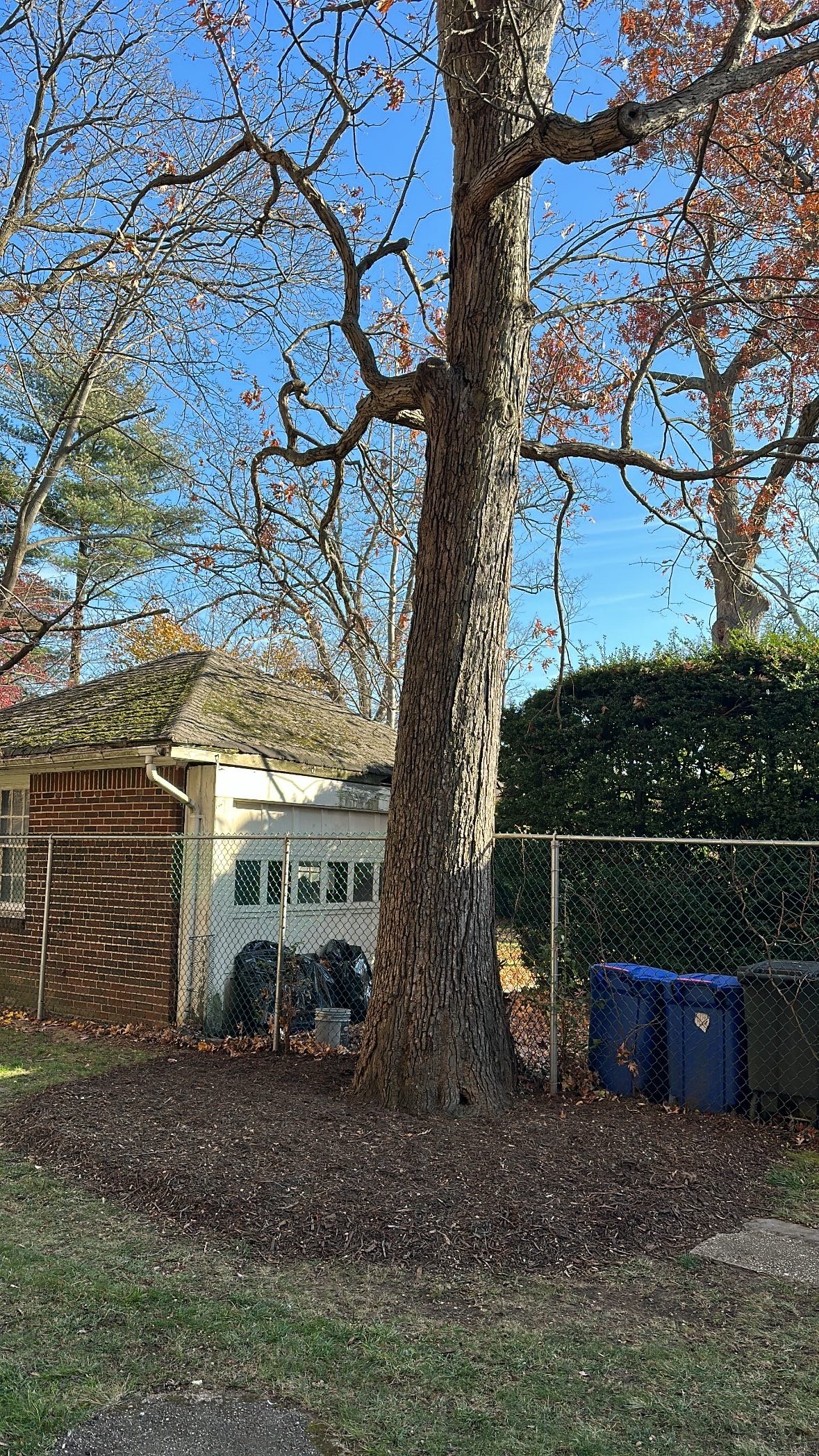 Valley Tree and Landscape Service Inc mulching