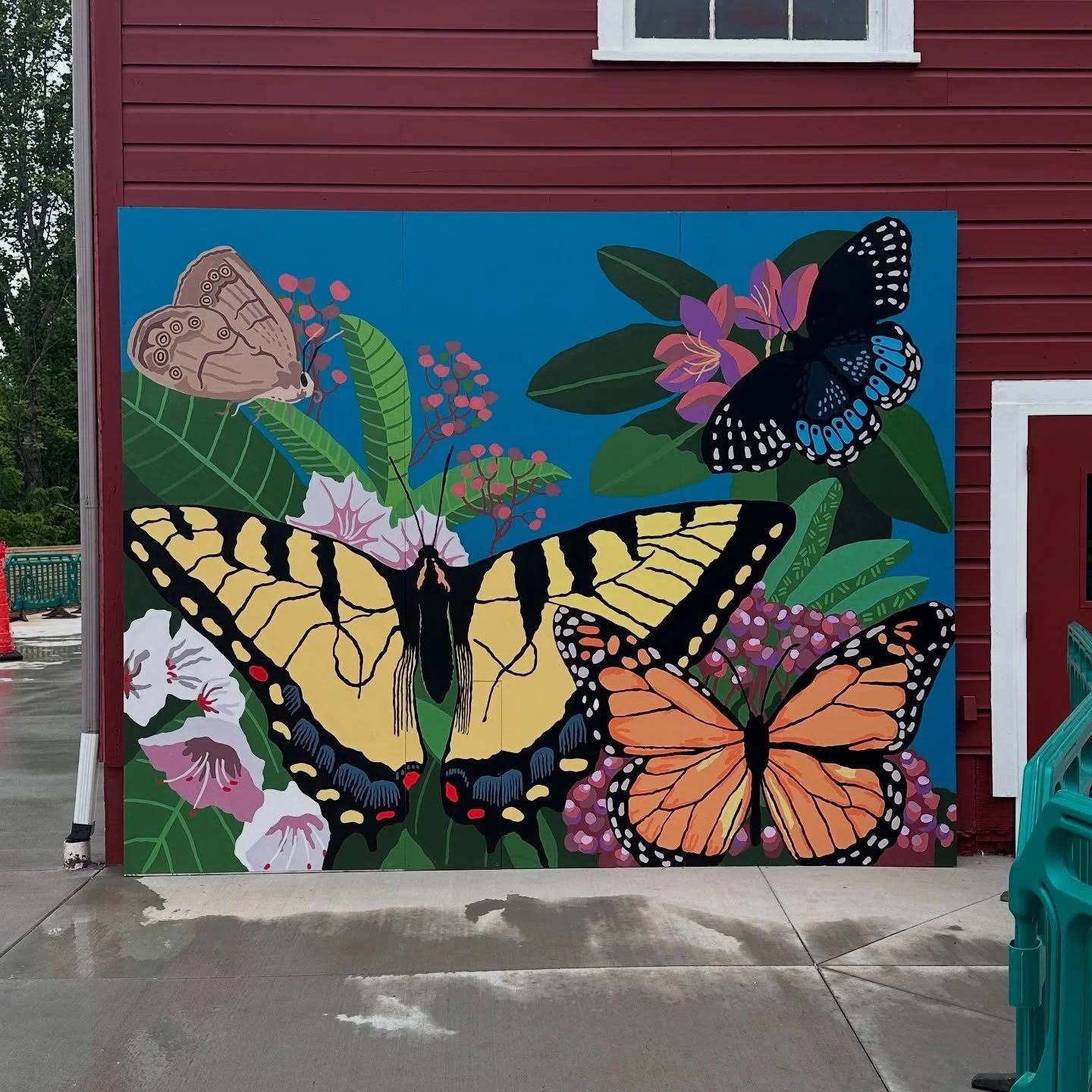 butterfly.jpg
