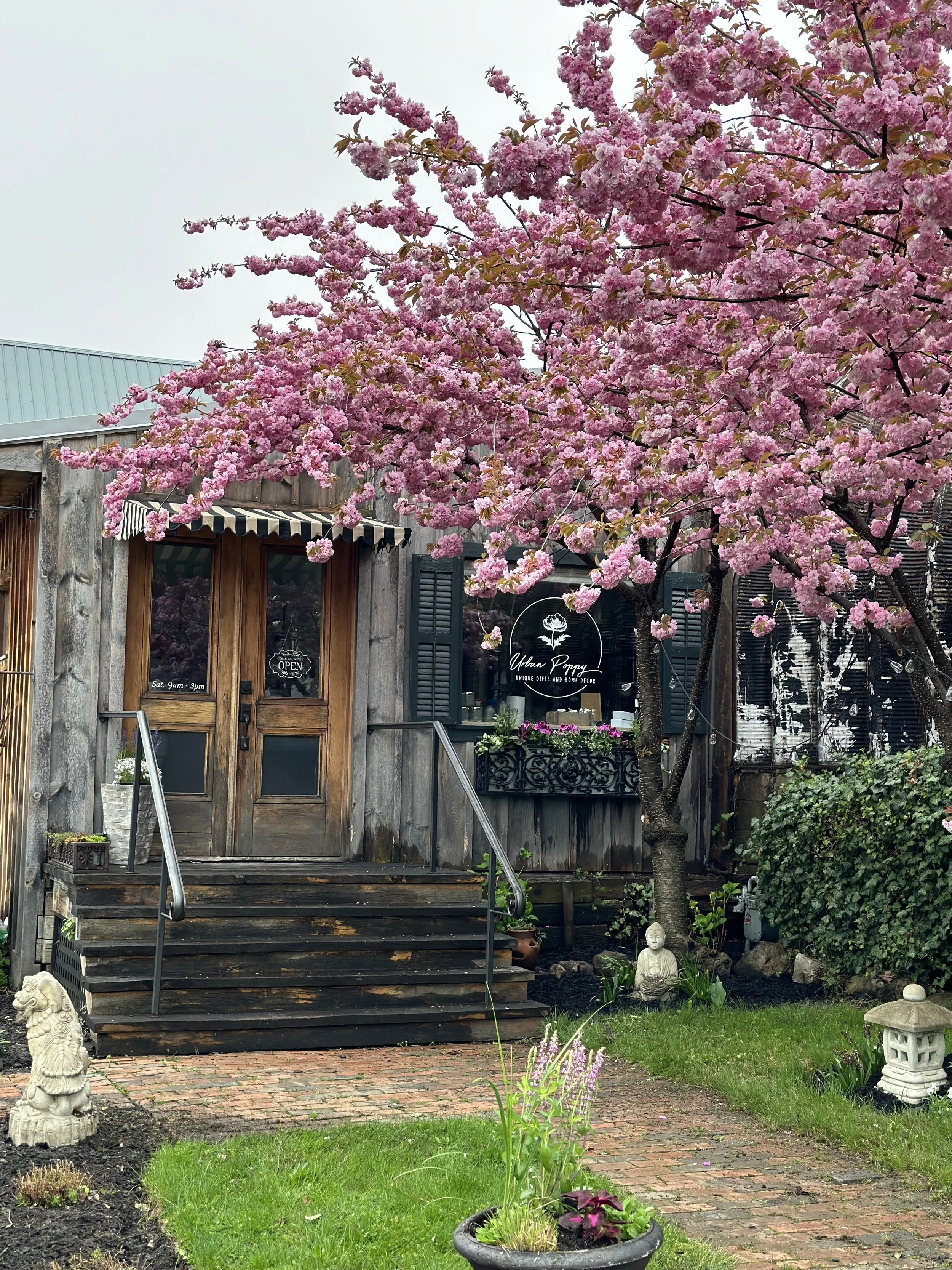 Spring has sprung at 153 Railroad Street