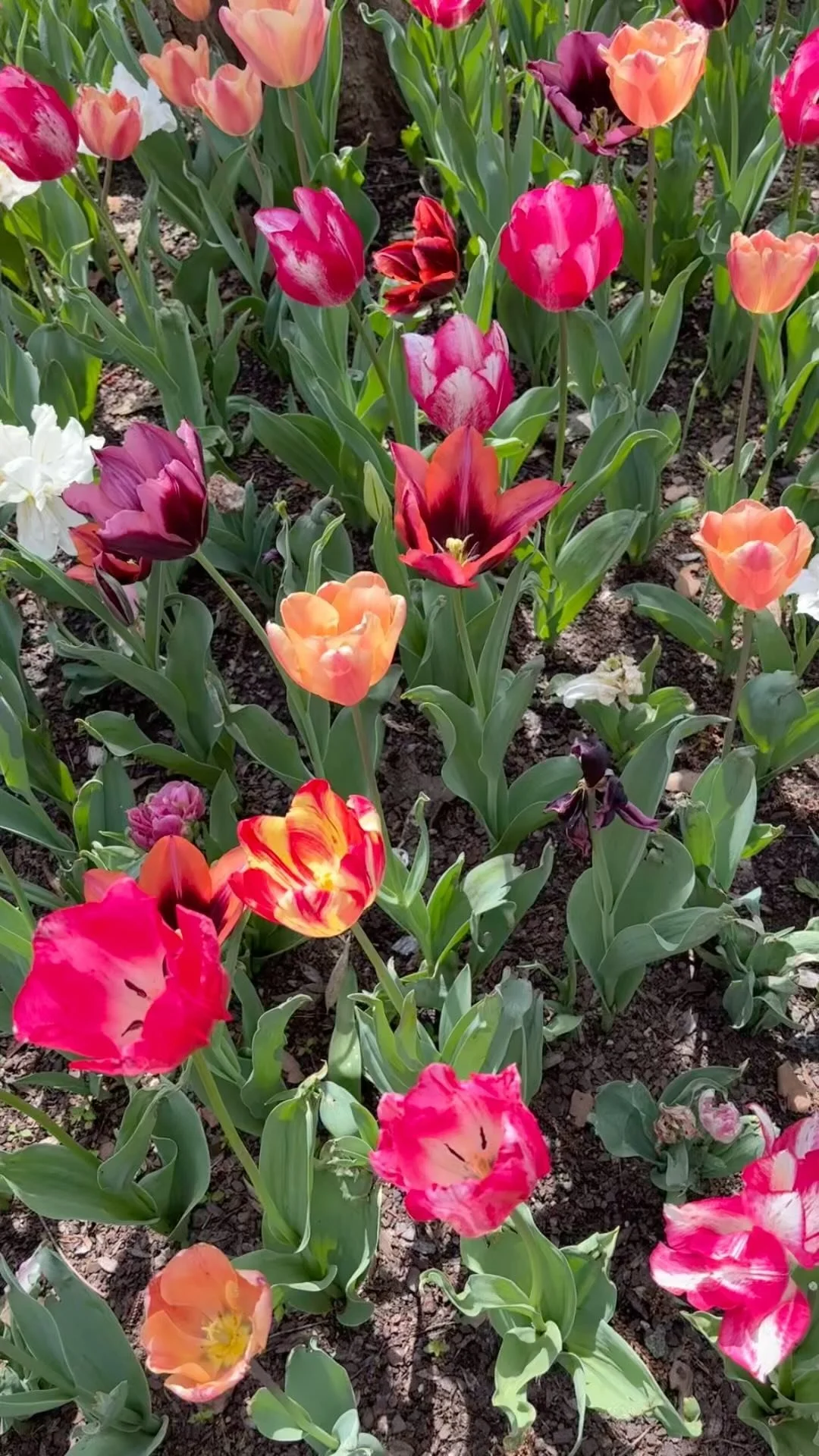 Get Involved Coop Gallery