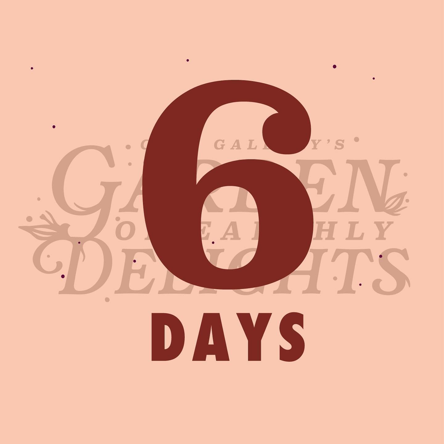 The countdown has begun! COOP Gallery&rsquo;s Garden of Earthly Delights blossoms in just six days. Get your tickets today!