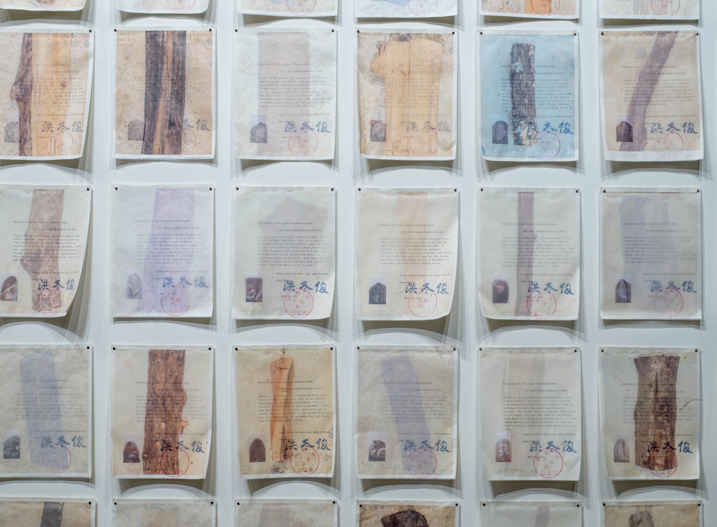 Facing Forward: Hannah Langer