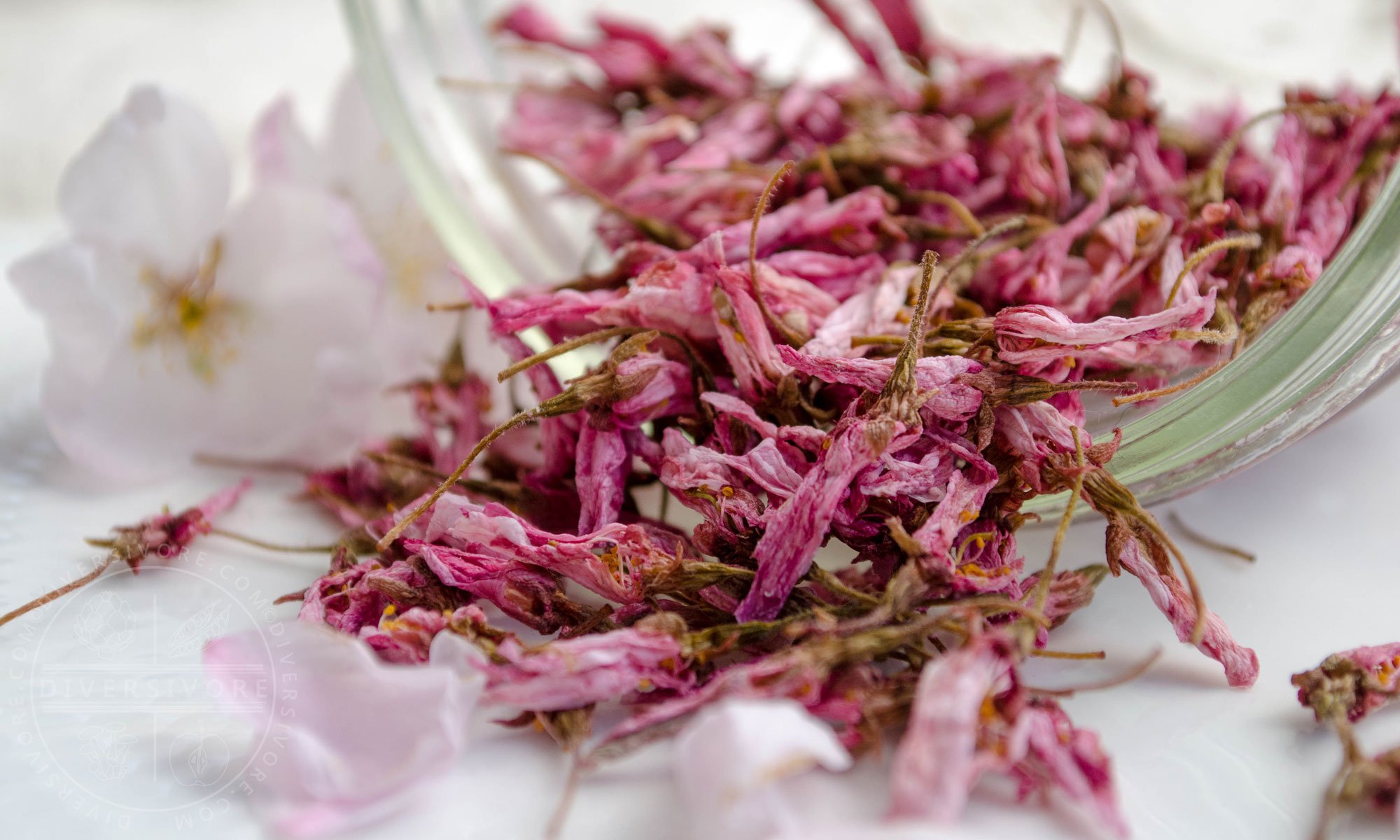Japanese Cherry Soy Wax Candle