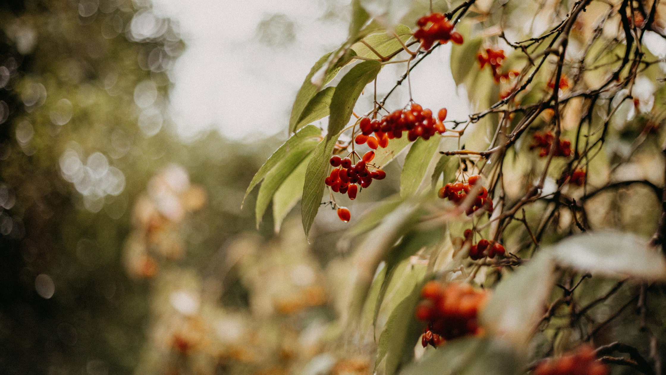 Reinvention is Required — Even After Big Success