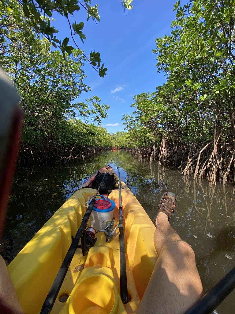 KAYAKS.jpeg