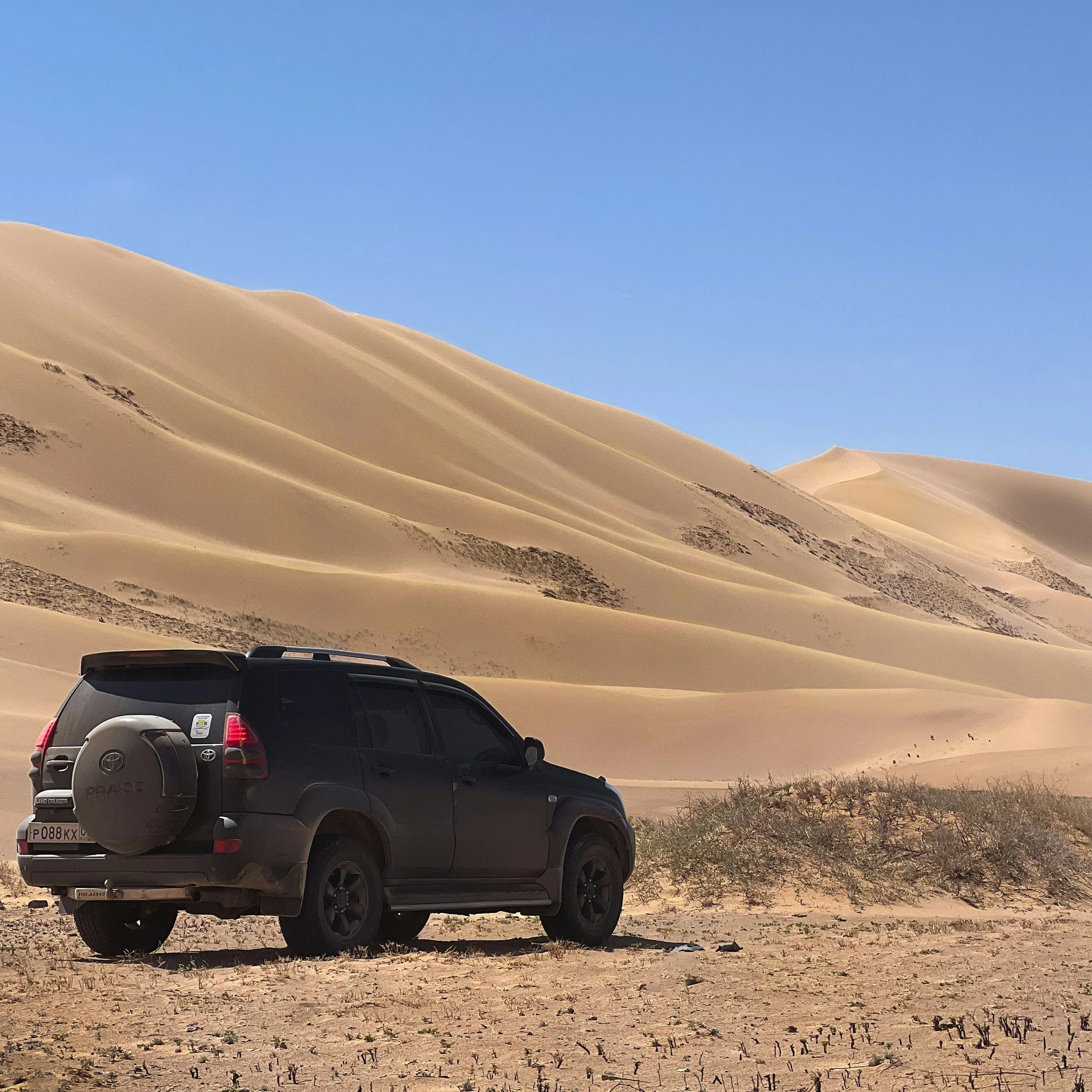 10 reliable Australia Road trip cars with buyback guarantee