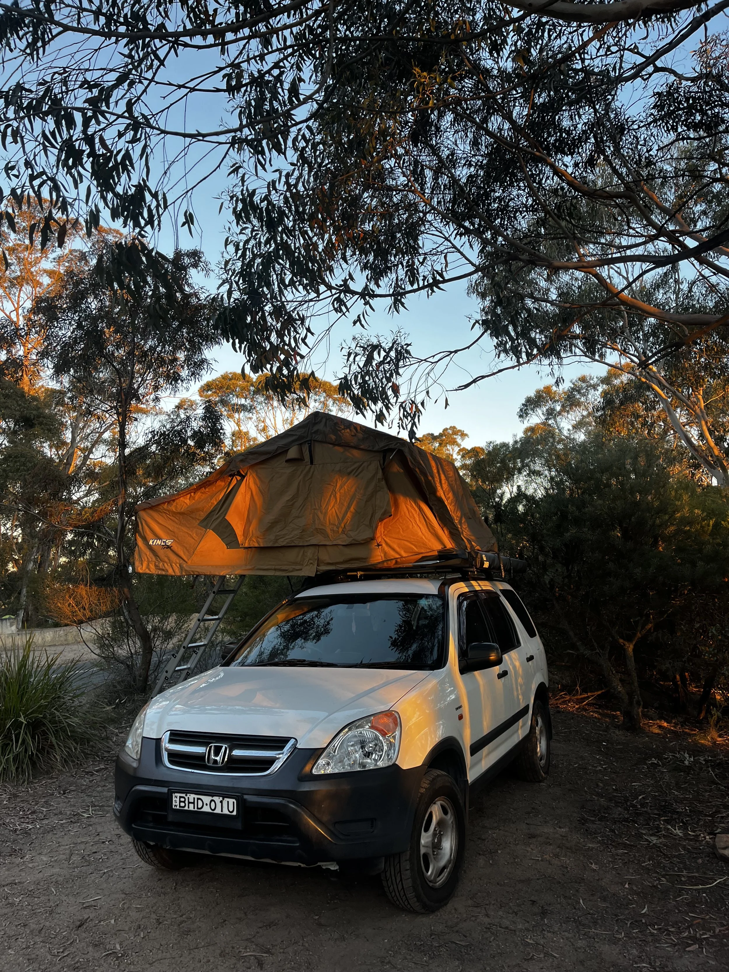 A white Honda SUV parked outdoors with a rooftop tent set up on top, surrounded by trees during what appears to be sunset or sunrise.