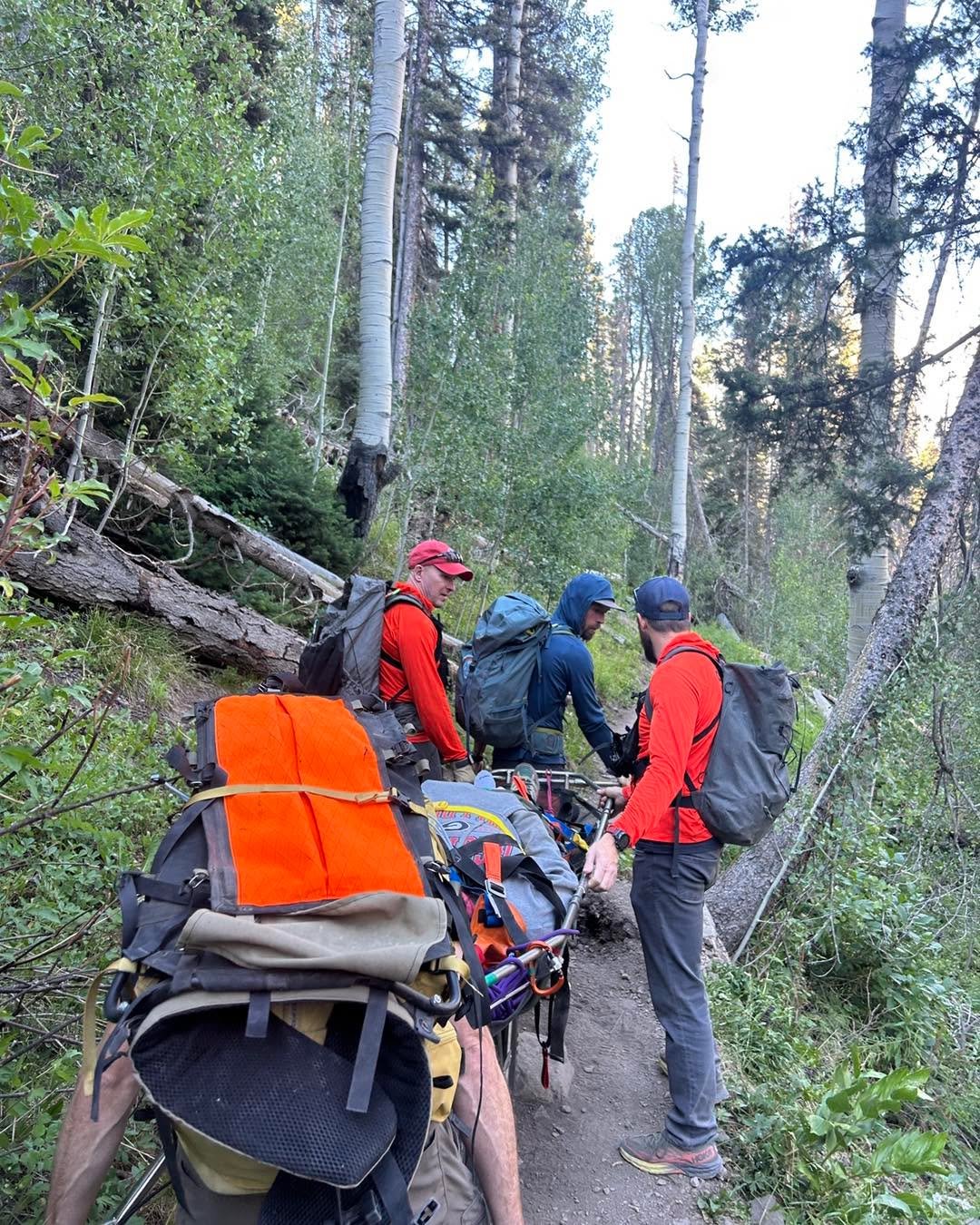 On July 2, OMRT was called to assist a hiker with a lower leg injury on the Blue Lakes Trail, approximately 1.25 miles from the trailhead. Our team reached the hiker on foot and transported the patient to the trailhead in a wheeled litter. The patien
