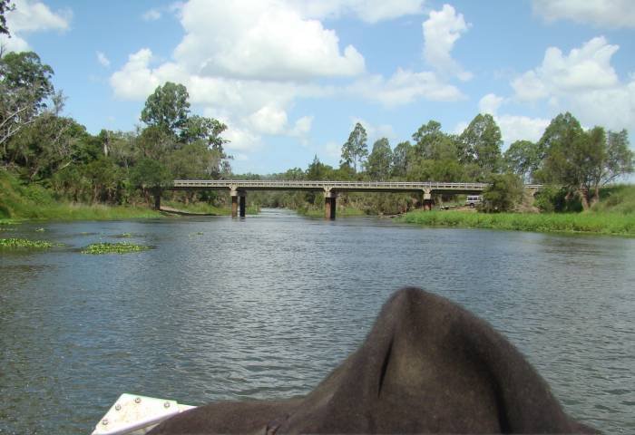 Dsc01110.jpg