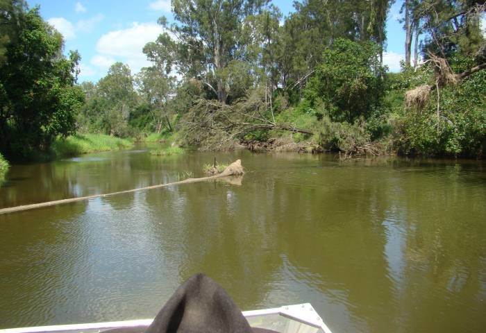 Dsc01166.jpg