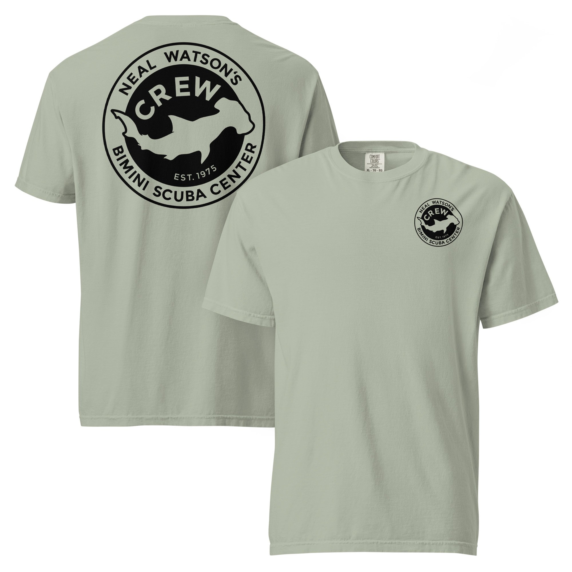 unisex-garment-dyed-heavyweight-t-shirt-bay-front-and-back-688d71ad3f57d.jpg