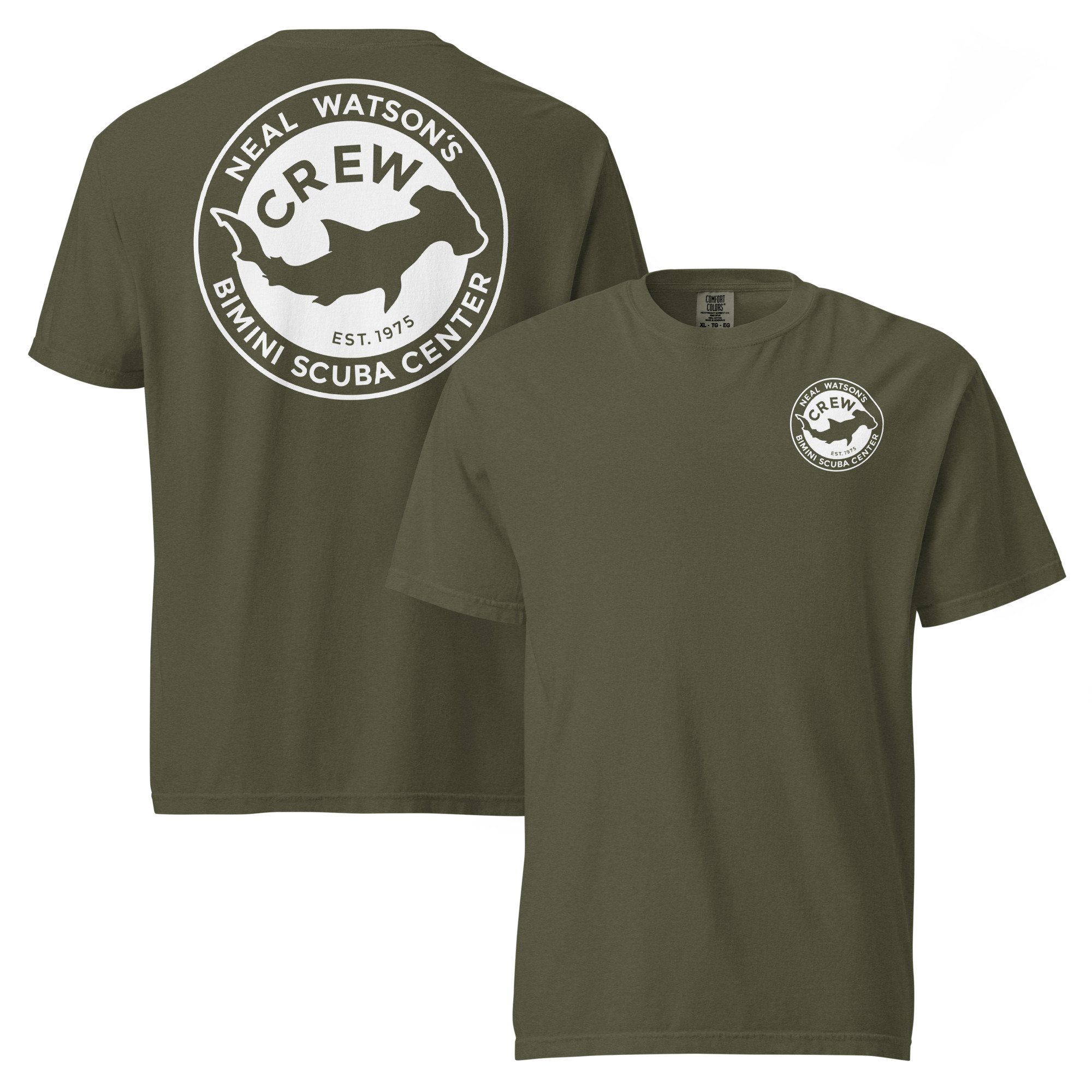 unisex-garment-dyed-heavyweight-t-shirt-sage-front-and-back-688d71e9aa7b1.jpg