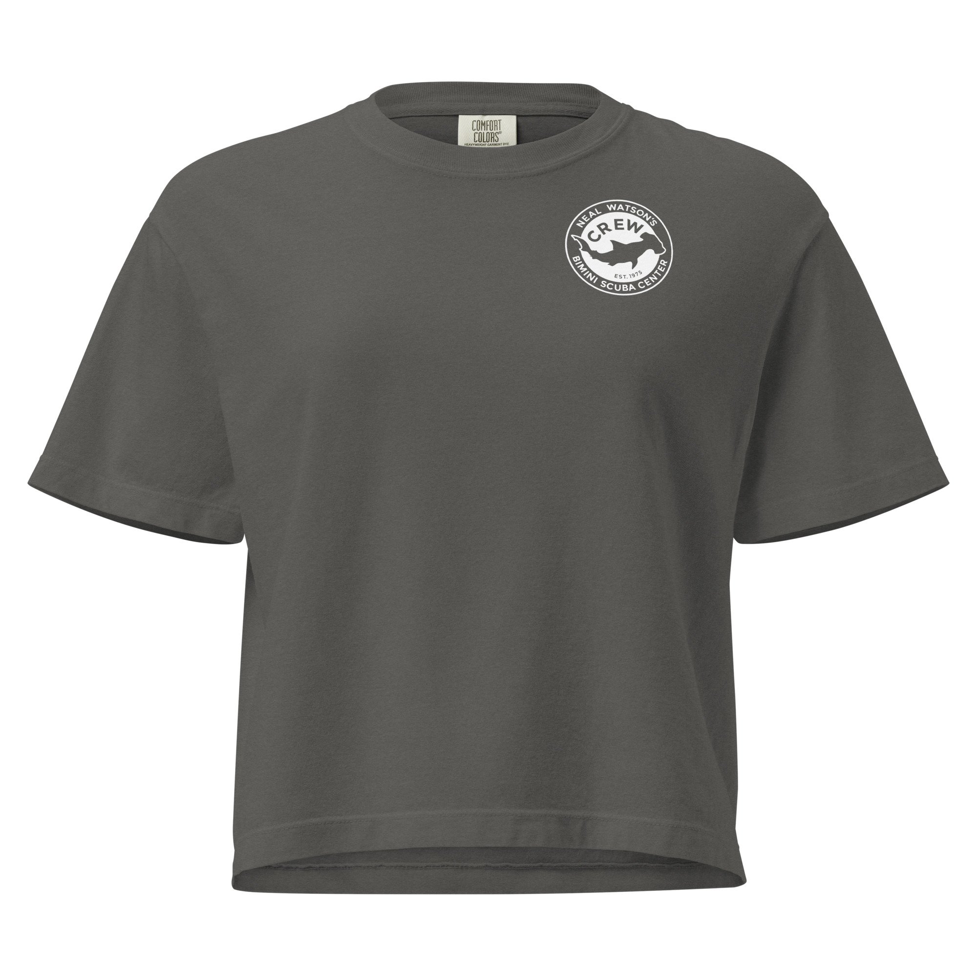 womens-heavyweight-boxy-t-shirt-pepper-front-688d72ba068b6.jpg