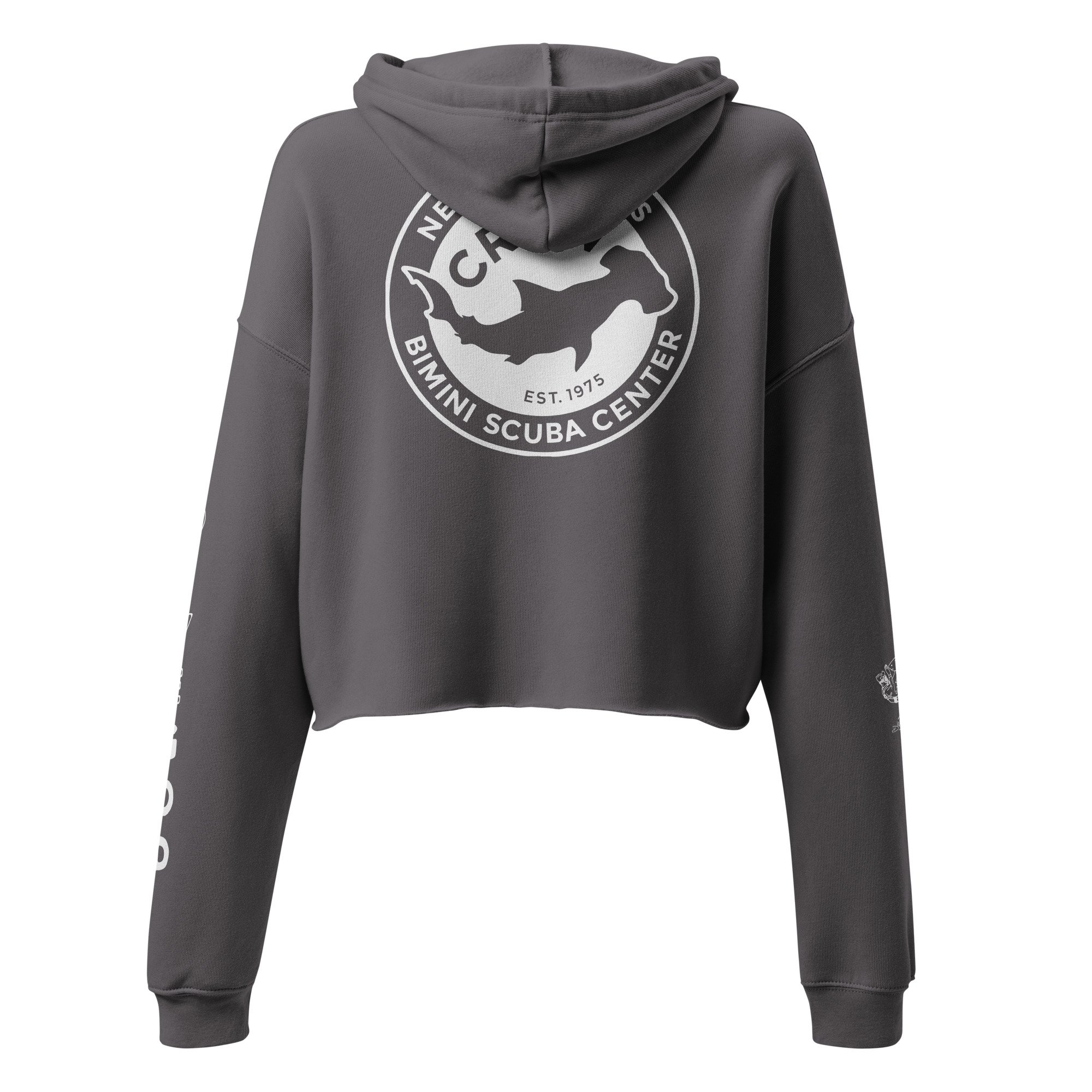 womens-cropped-hoodie-storm-back-688d7334712e3.jpg