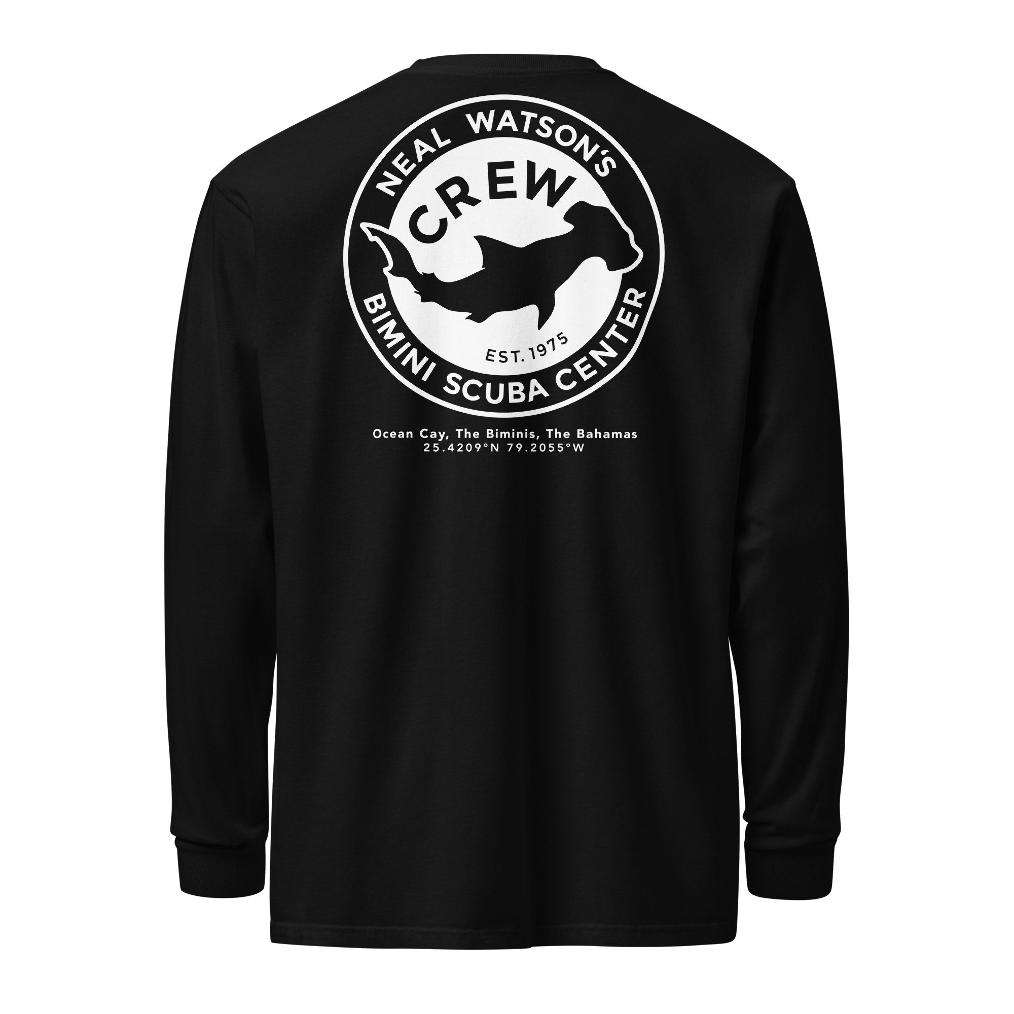unisex-garment-dyed-heavyweight-long-sleeve-shirt-black-back-688d74b1035f1.jpg