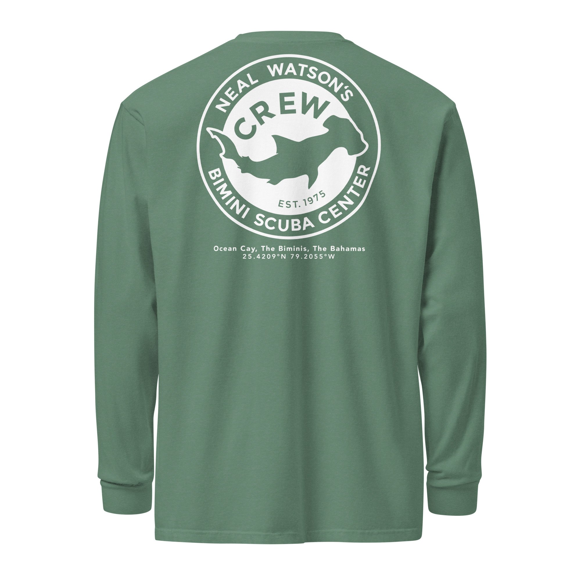 unisex-garment-dyed-heavyweight-long-sleeve-shirt-light-green-back-688d74b109611.jpg
