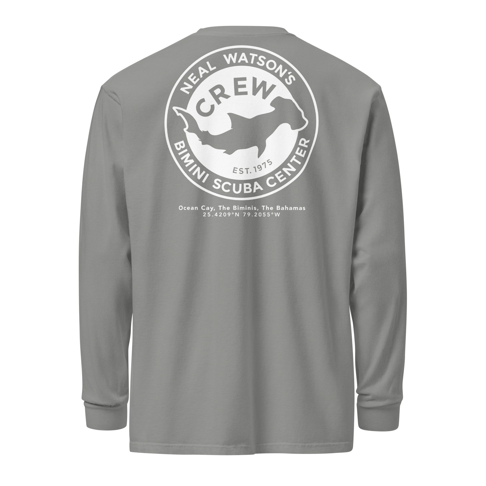 unisex-garment-dyed-heavyweight-long-sleeve-shirt-grey-back-688d74b10c8de.jpg