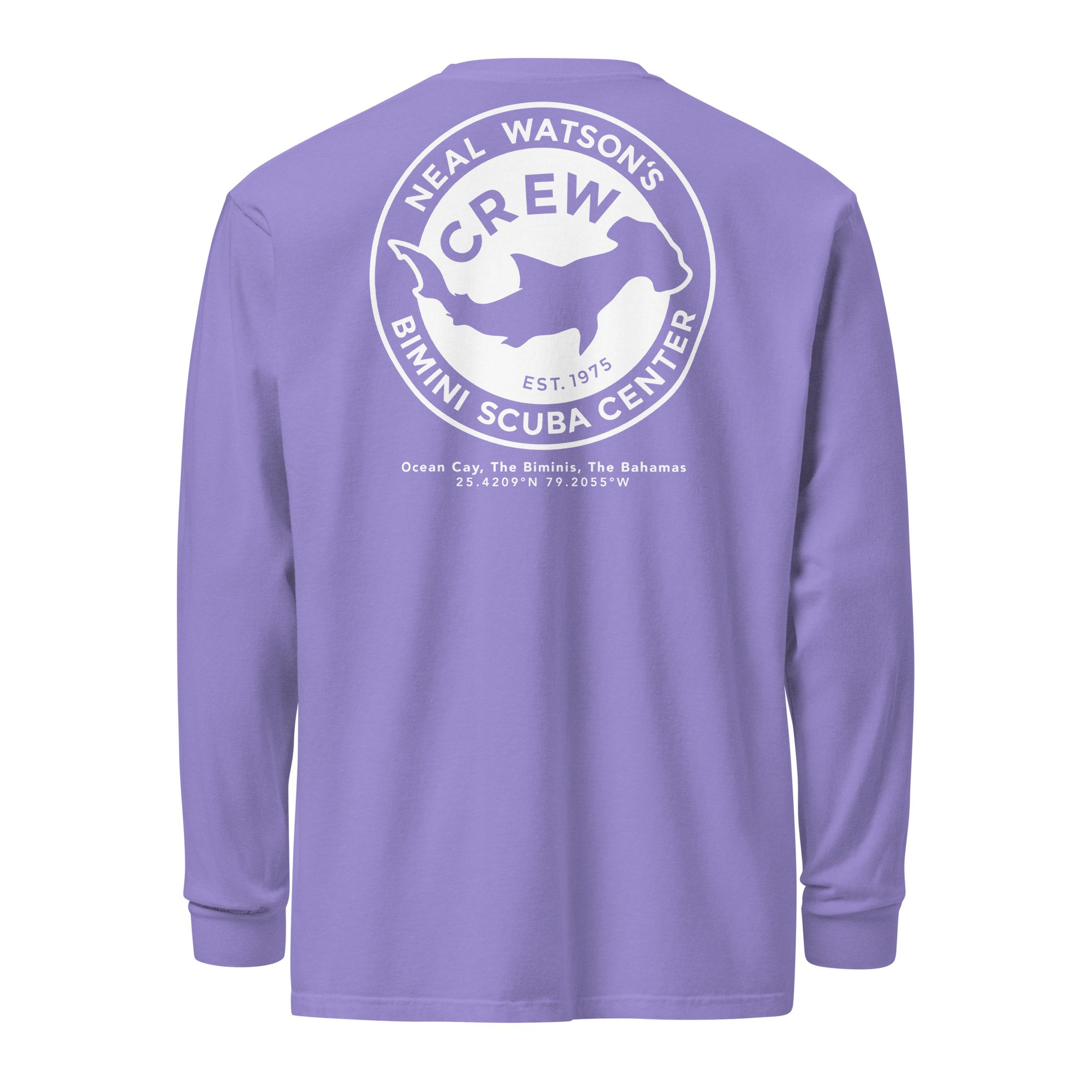 unisex-garment-dyed-heavyweight-long-sleeve-shirt-violet-back-688d74b110826.jpg