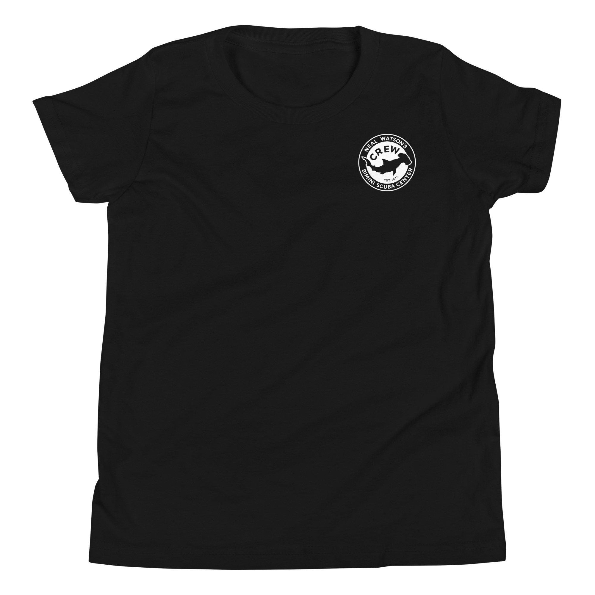 youth-staple-tee-black-front-688d7ca961c28.jpg