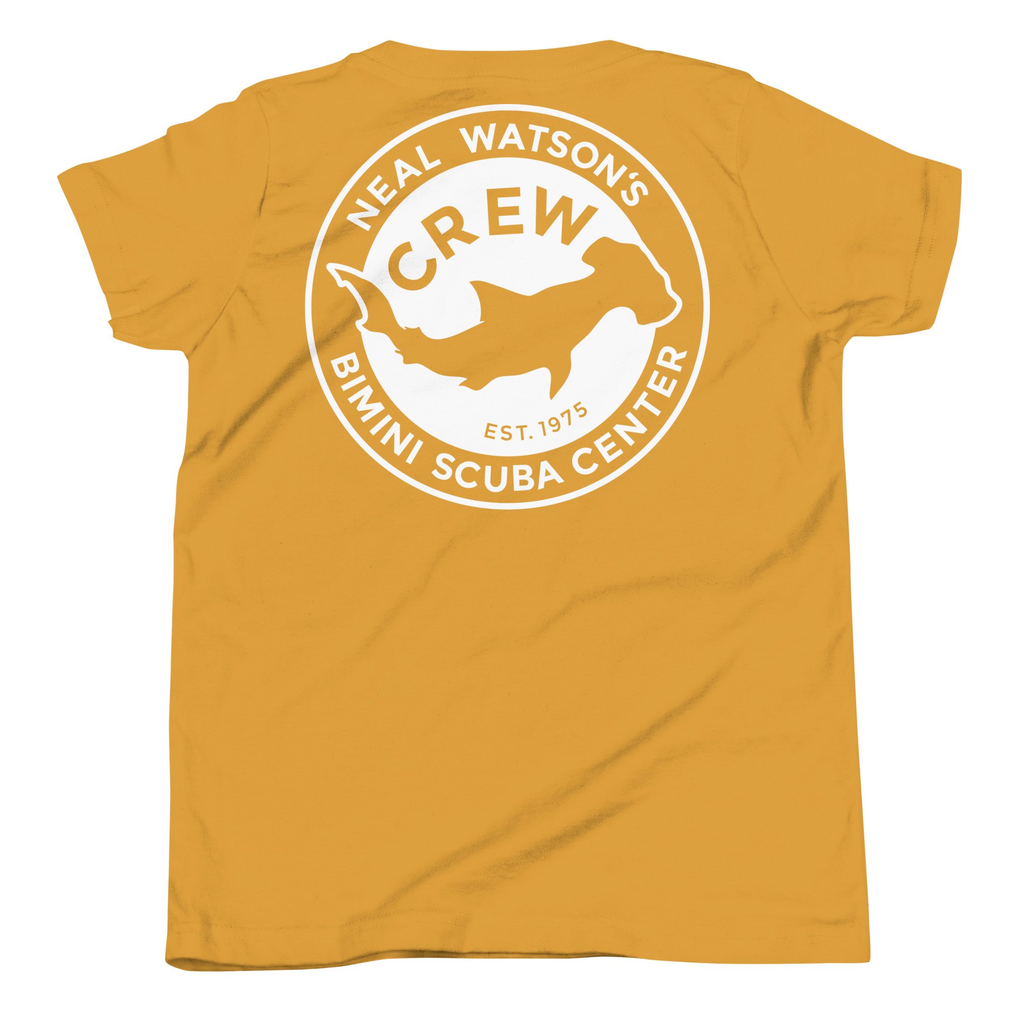 youth-staple-tee-mustard-back-688d7ca964aed.jpg