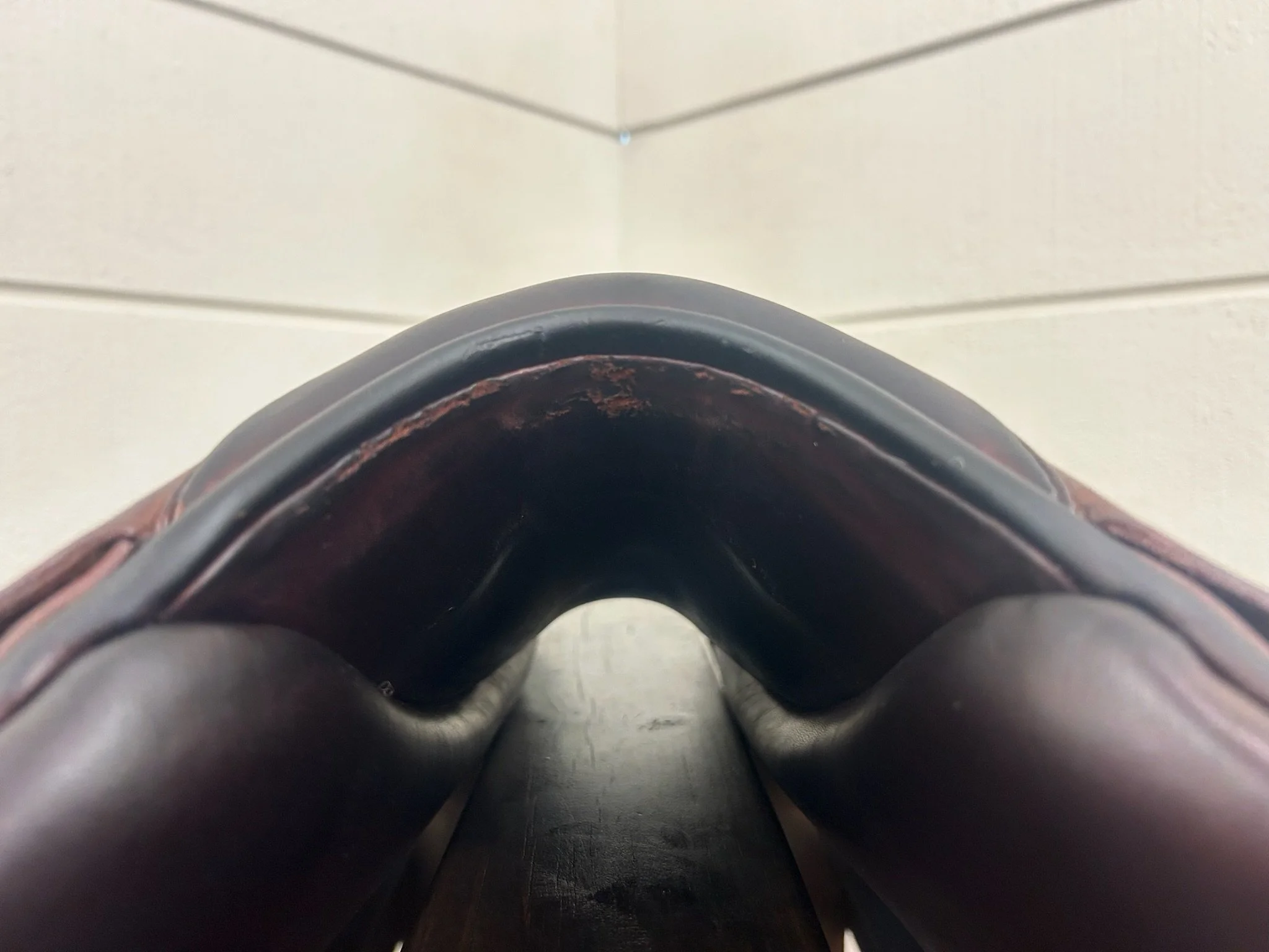 IMG_6004 2.jpeg