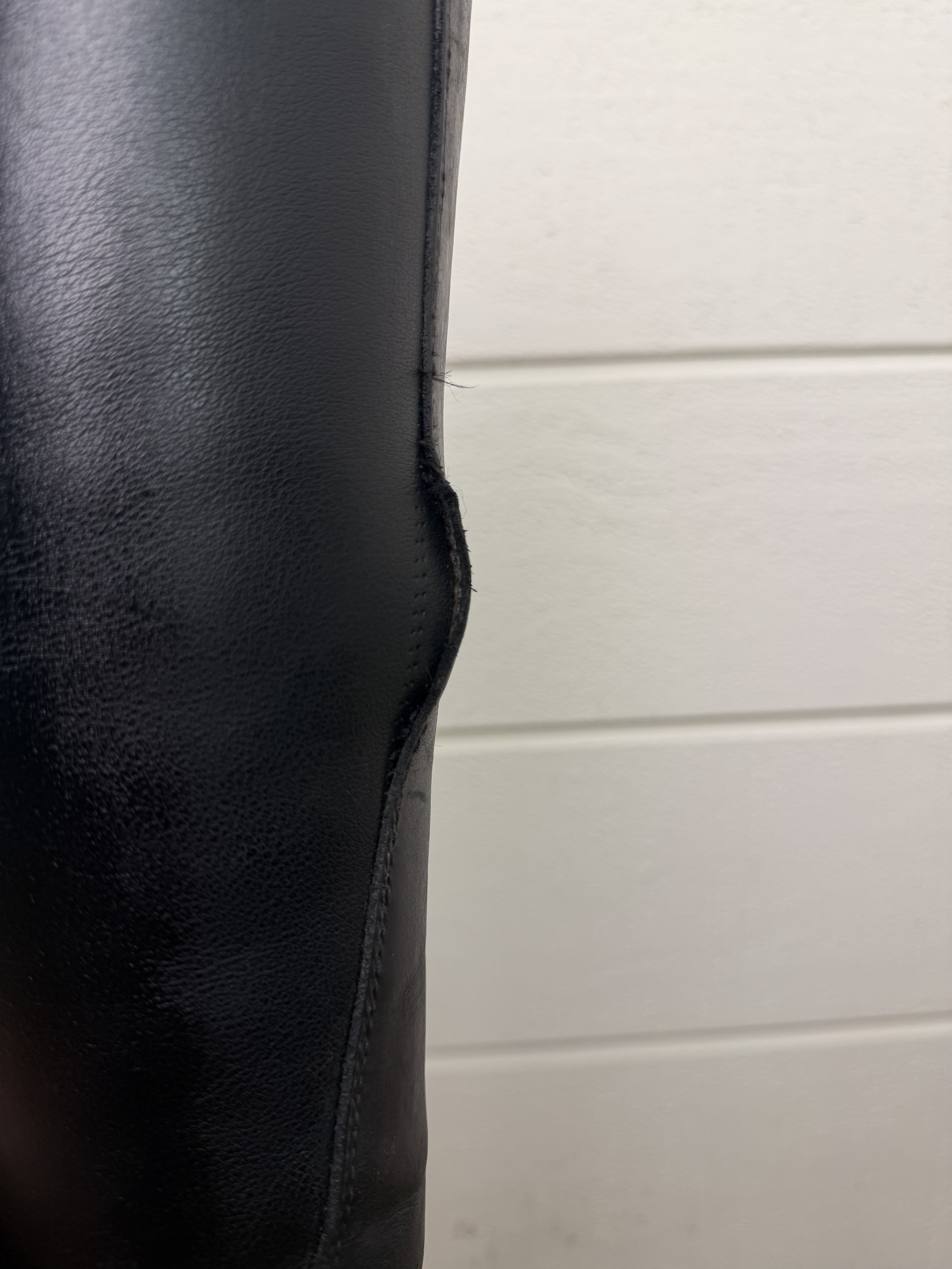 IMG_0487.jpeg
