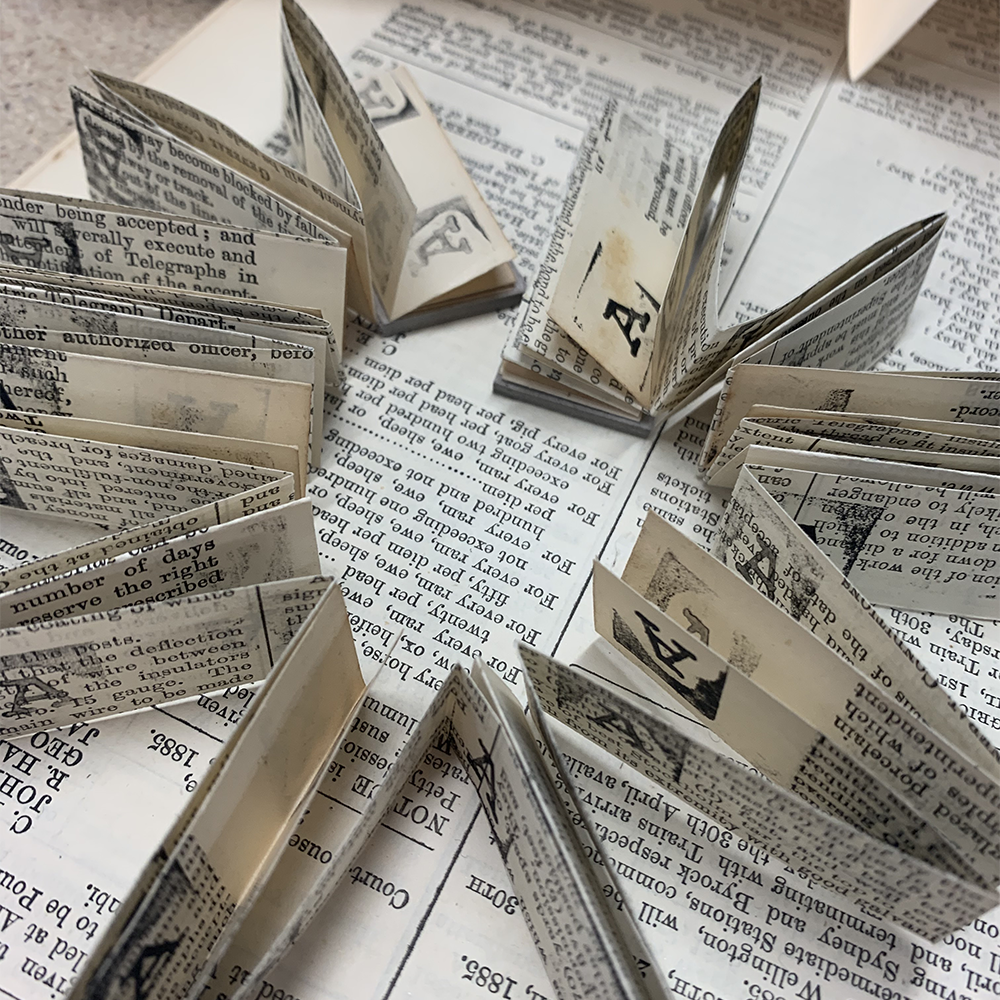 concertina 2 1000px.png (Copy) (Copy)